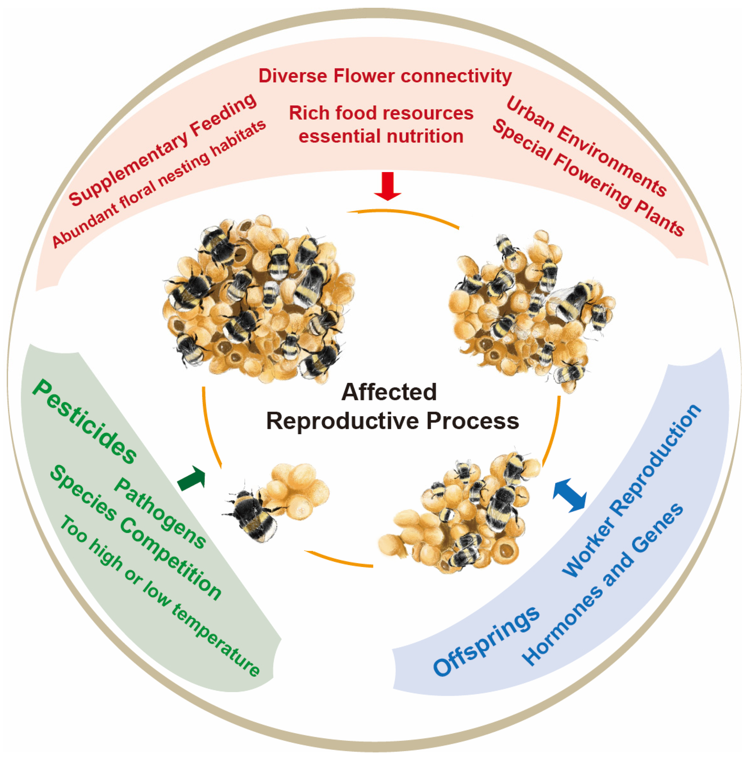 Insects 15 00654 g001