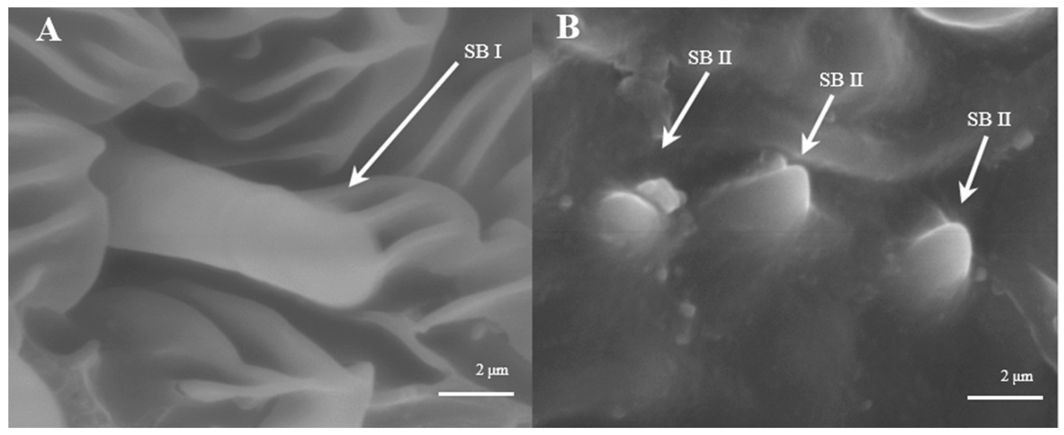 Insects 15 00655 g006