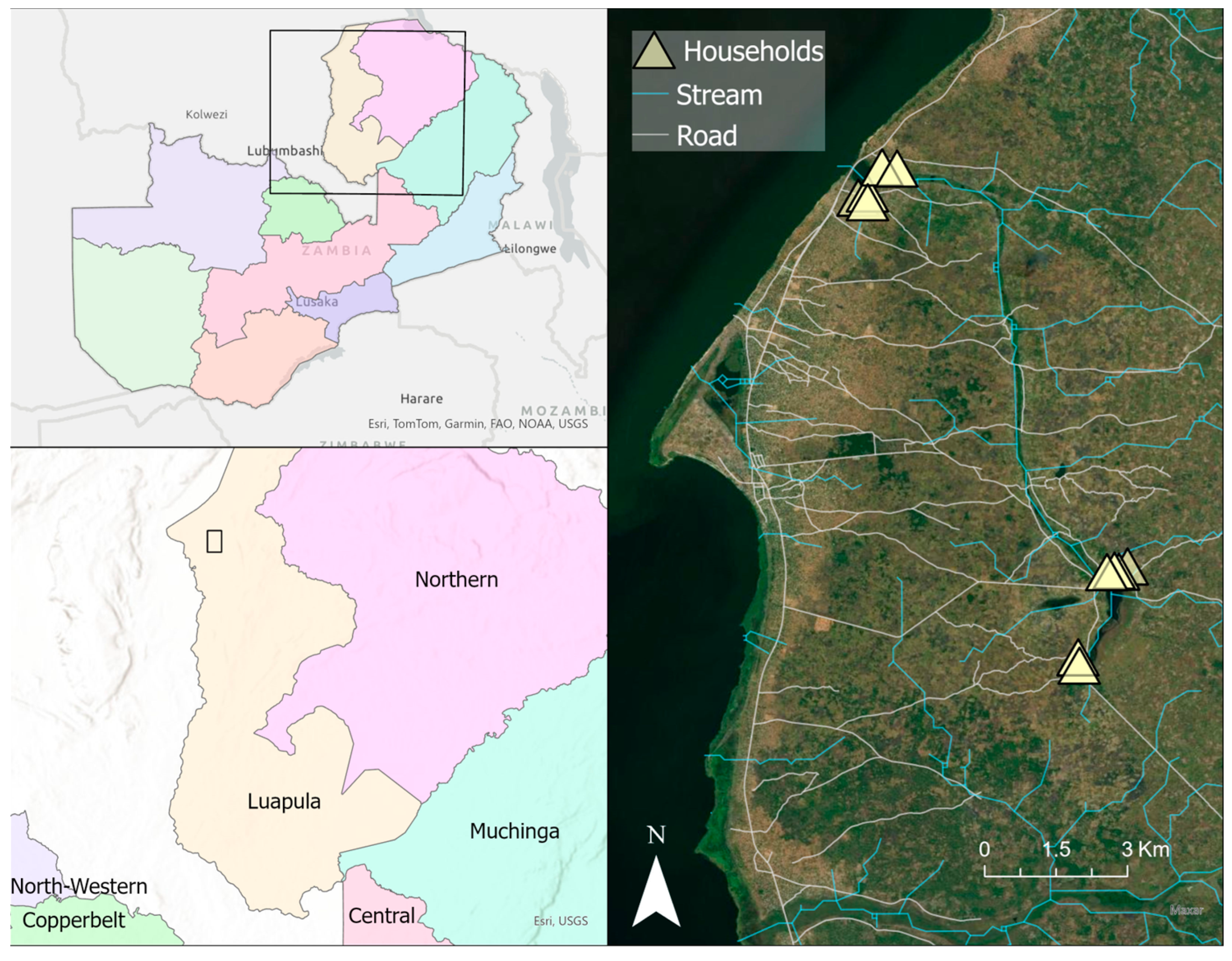 Insects 15 00656 g001