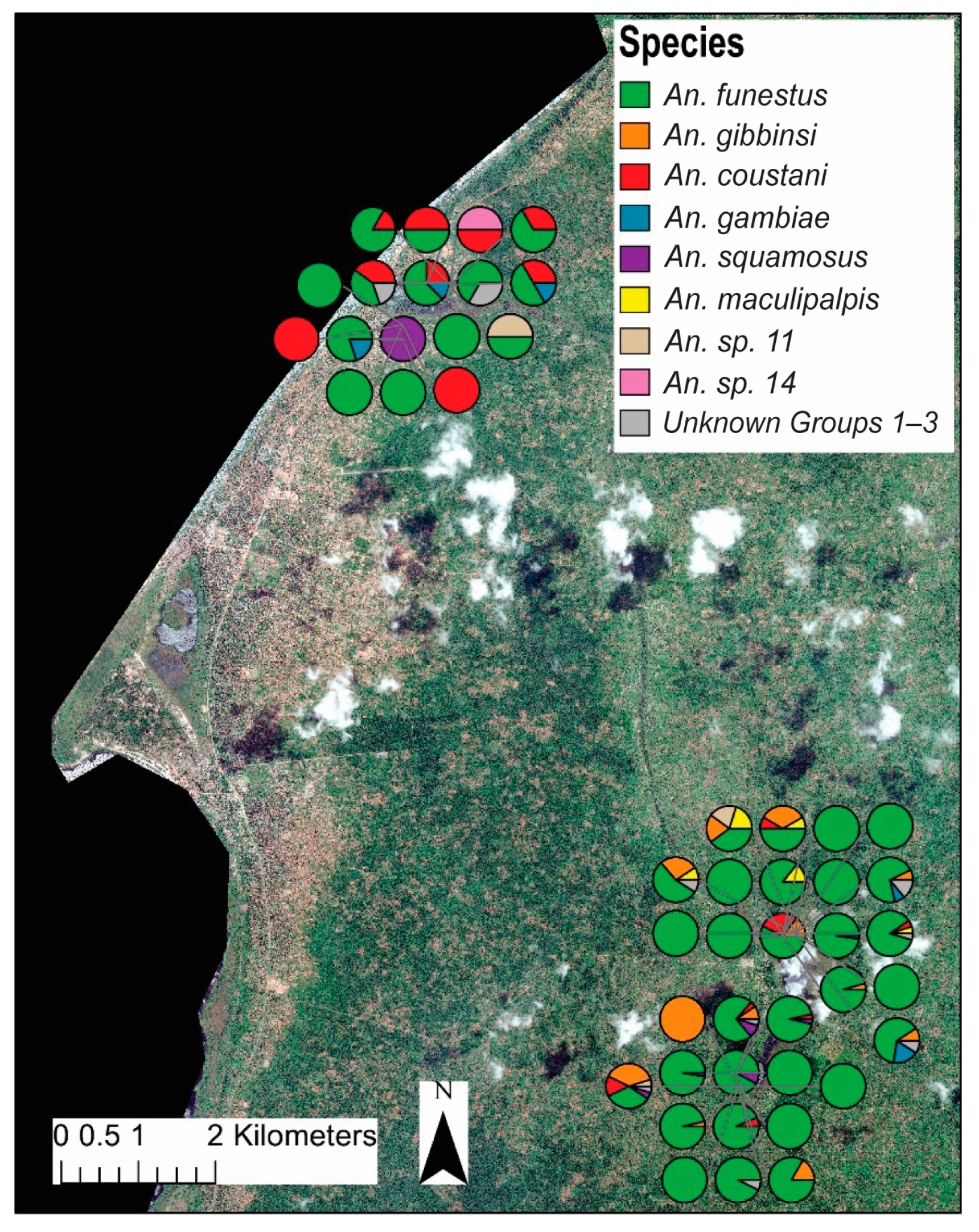 Insects 15 00656 g004