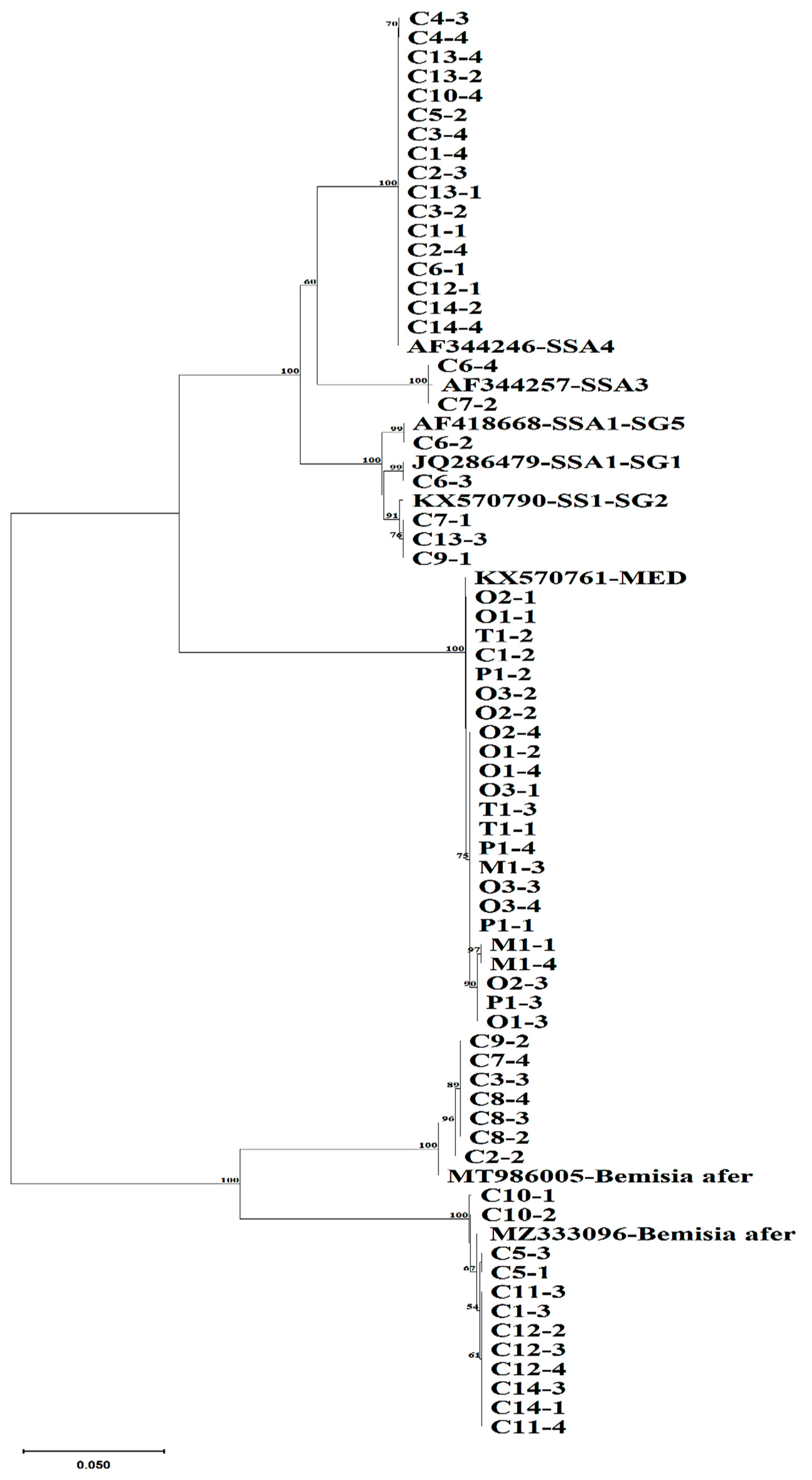 Insects 15 00657 g001 Insects 15 00657 g001