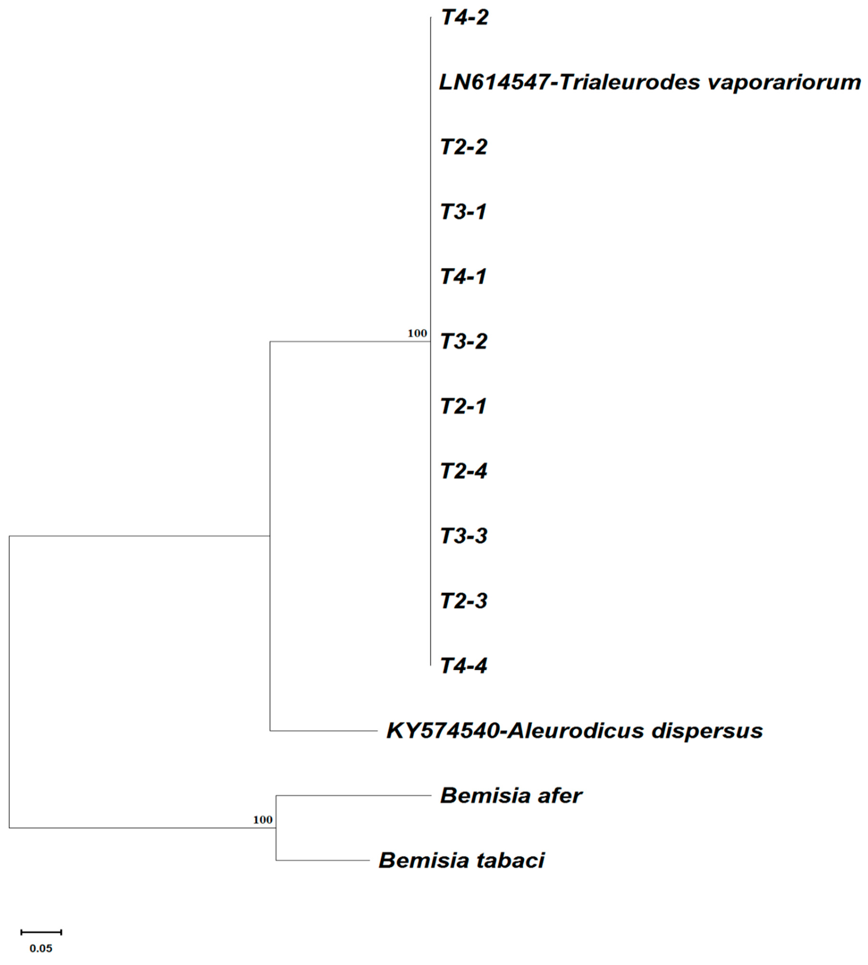 Insects 15 00657 g002 Insects 15 00657 g002