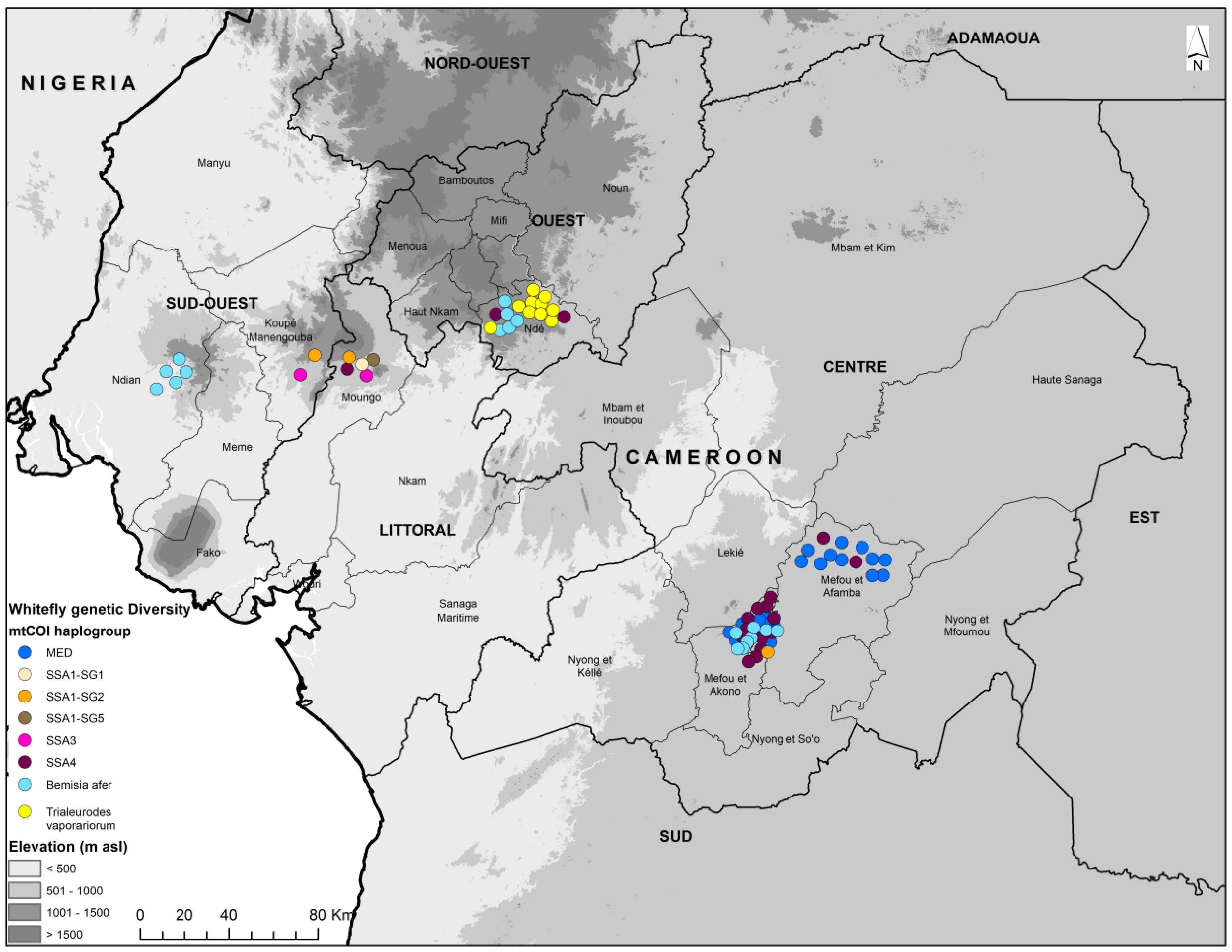 Insects 15 00657 g003 Insects 15 00657 g003