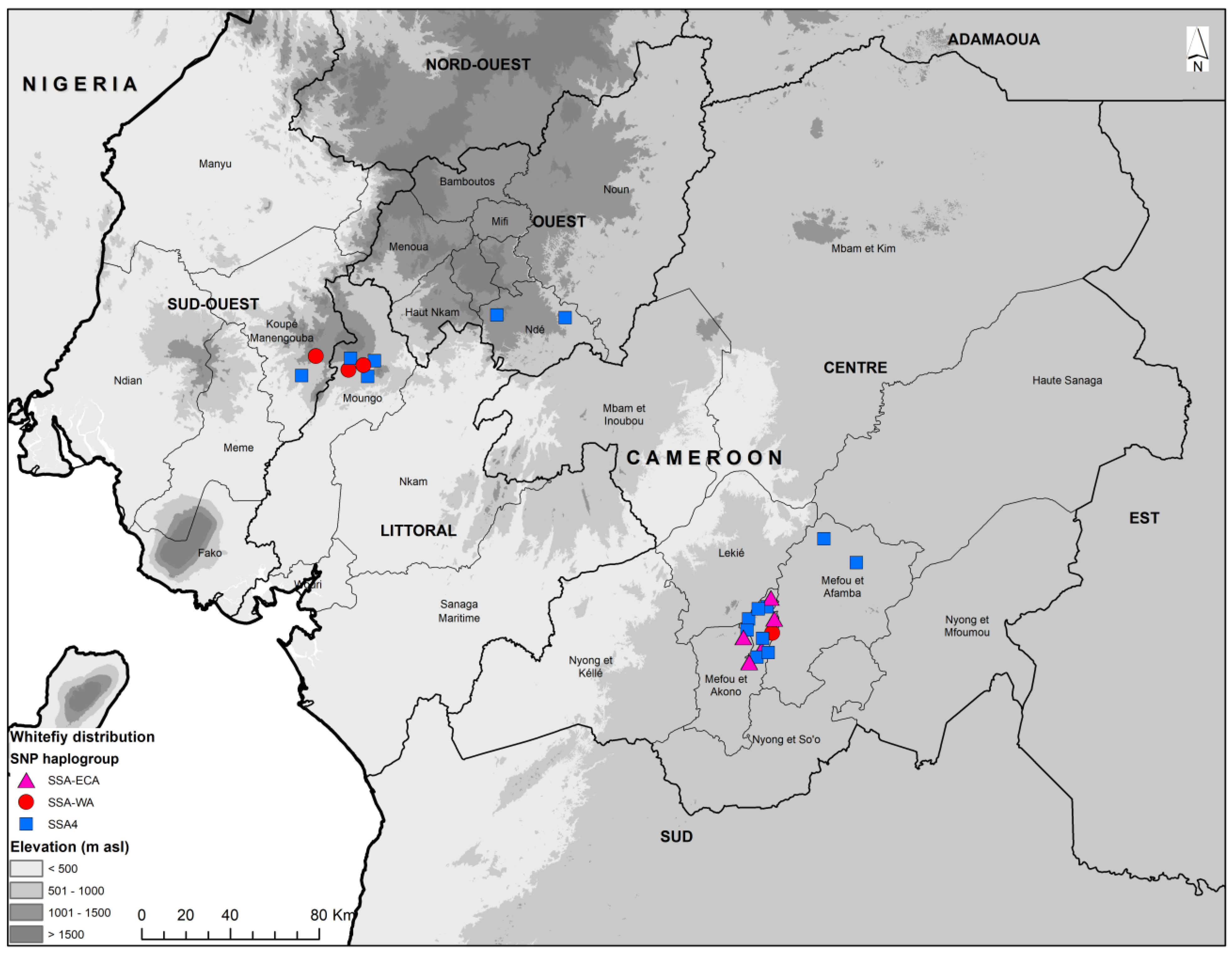 Insects 15 00657 g005 Insects 15 00657 g005