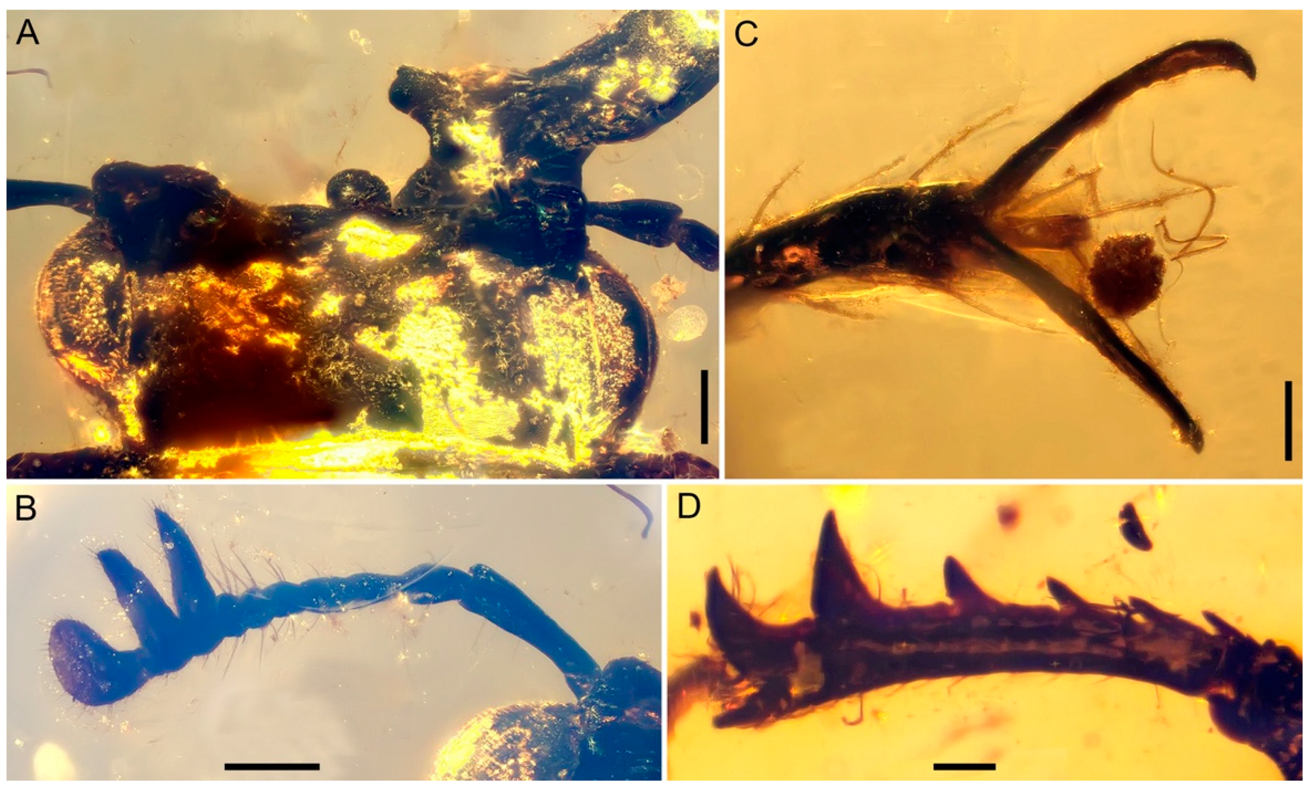 Insects 15 00658 g003 Insects 15 00658 g003