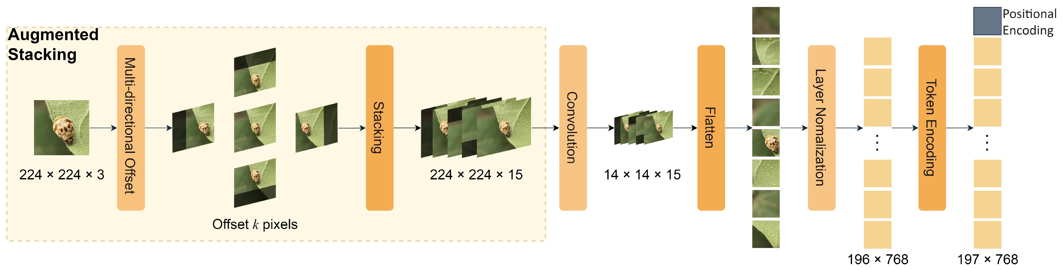 Insects 15 00667 g002