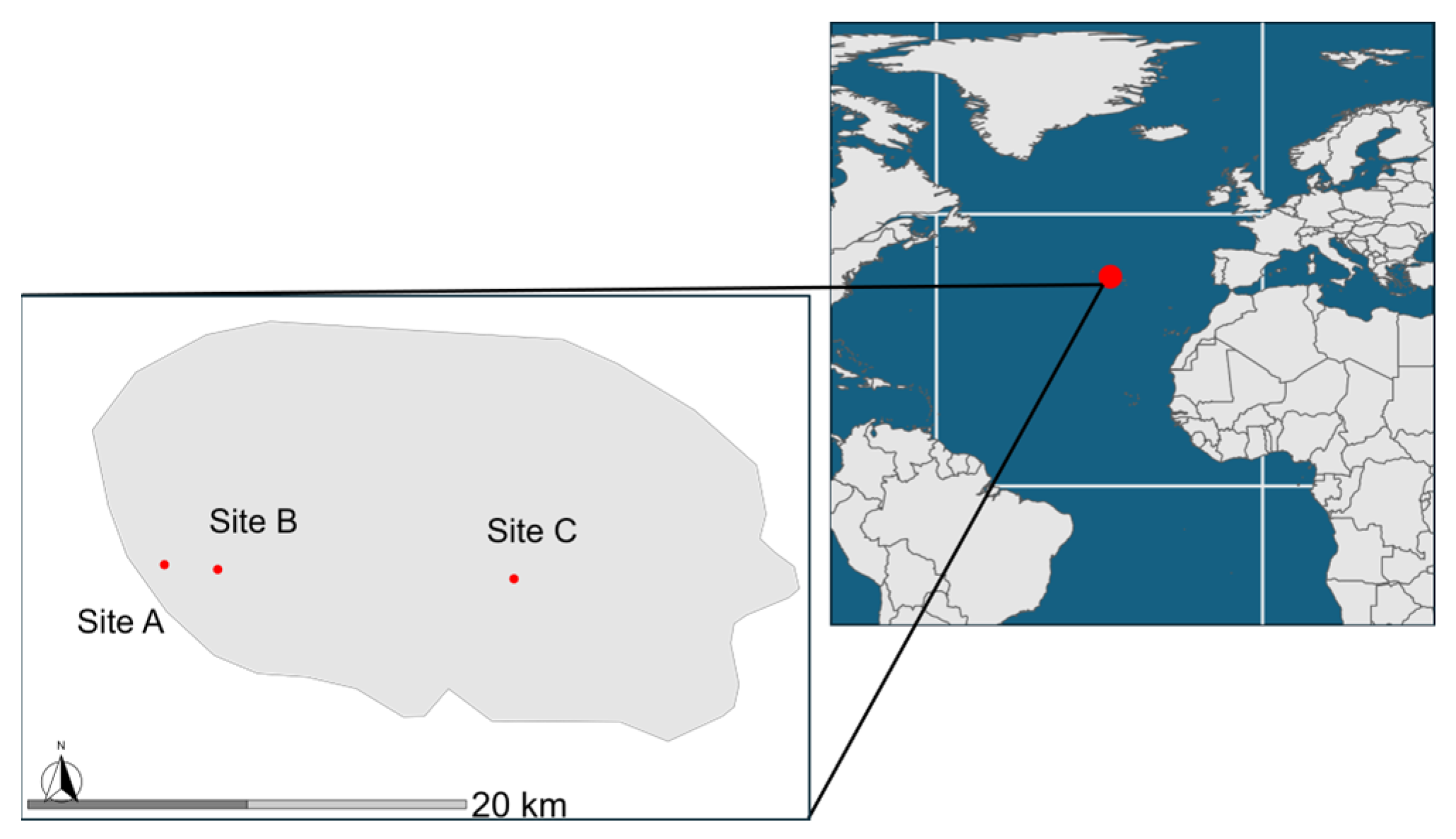 Insects 15 00677 g001