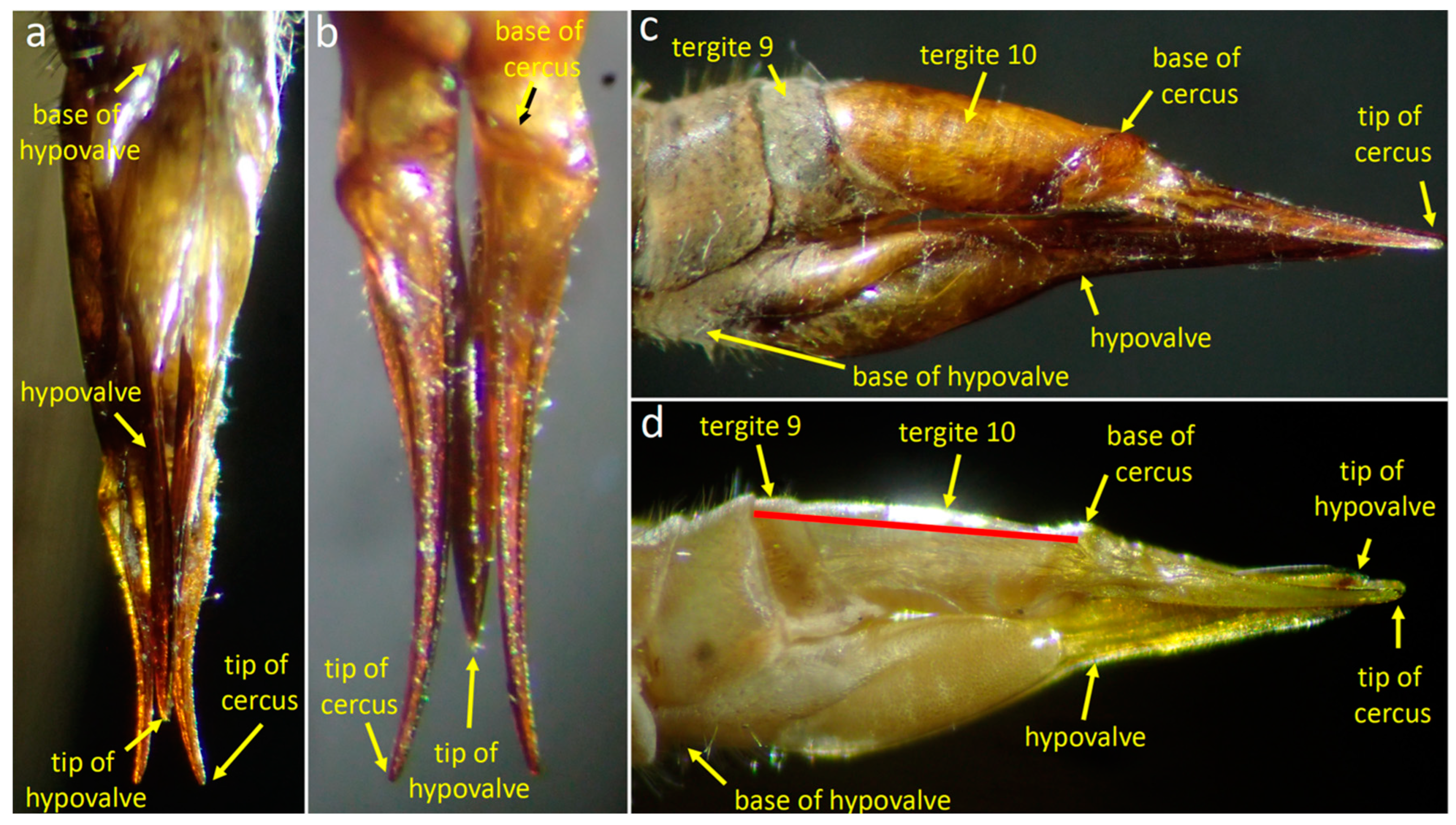 Insects 15 00680 g003