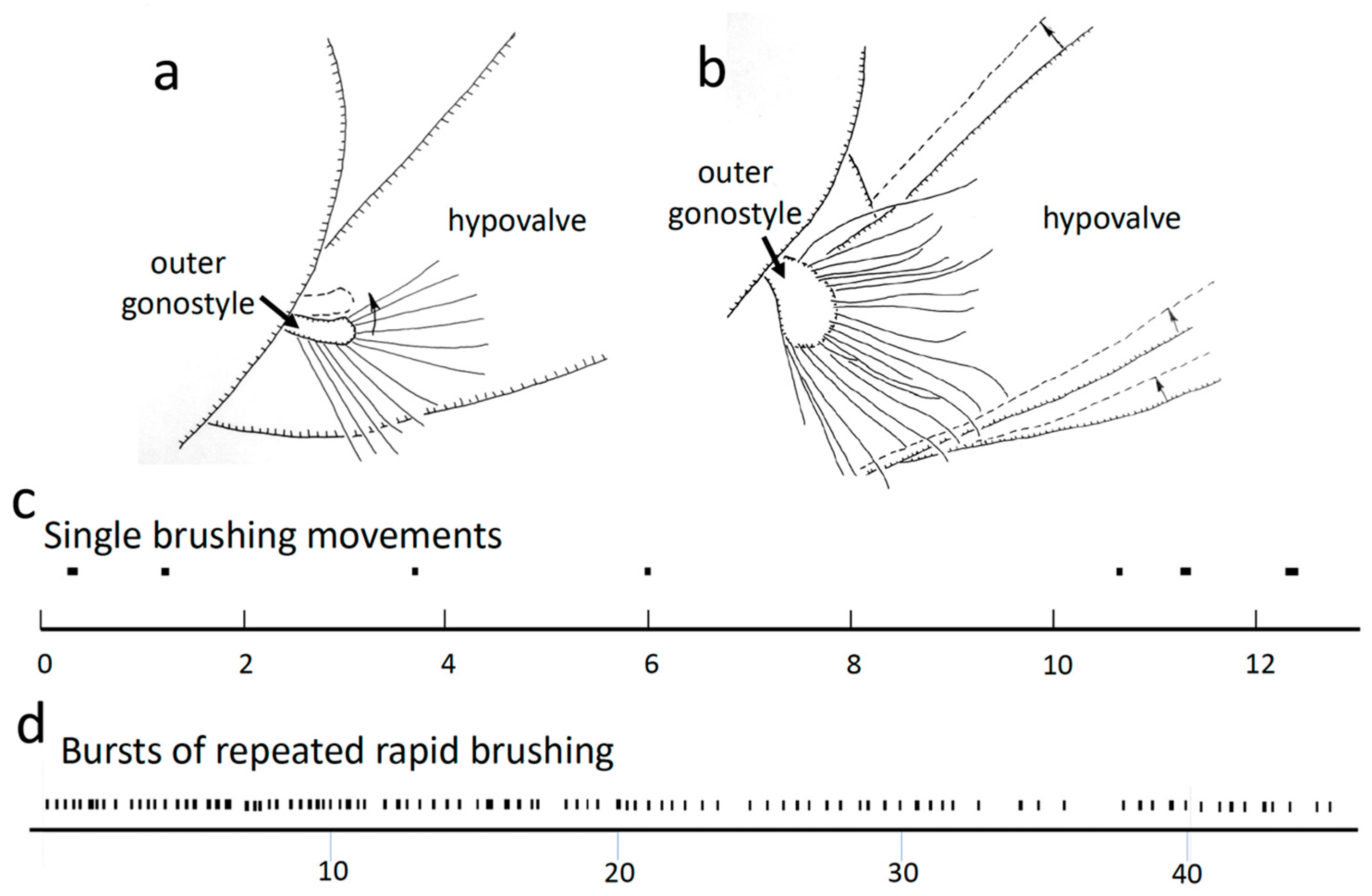 Insects 15 00680 g006