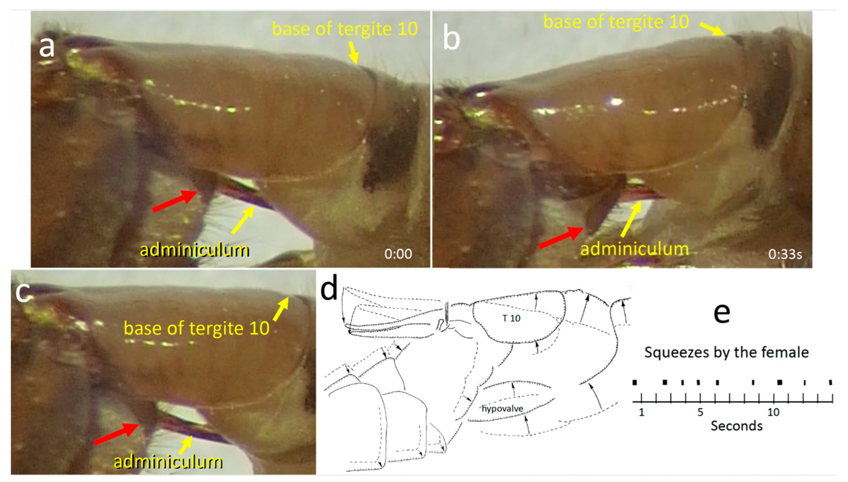 Insects 15 00680 g007