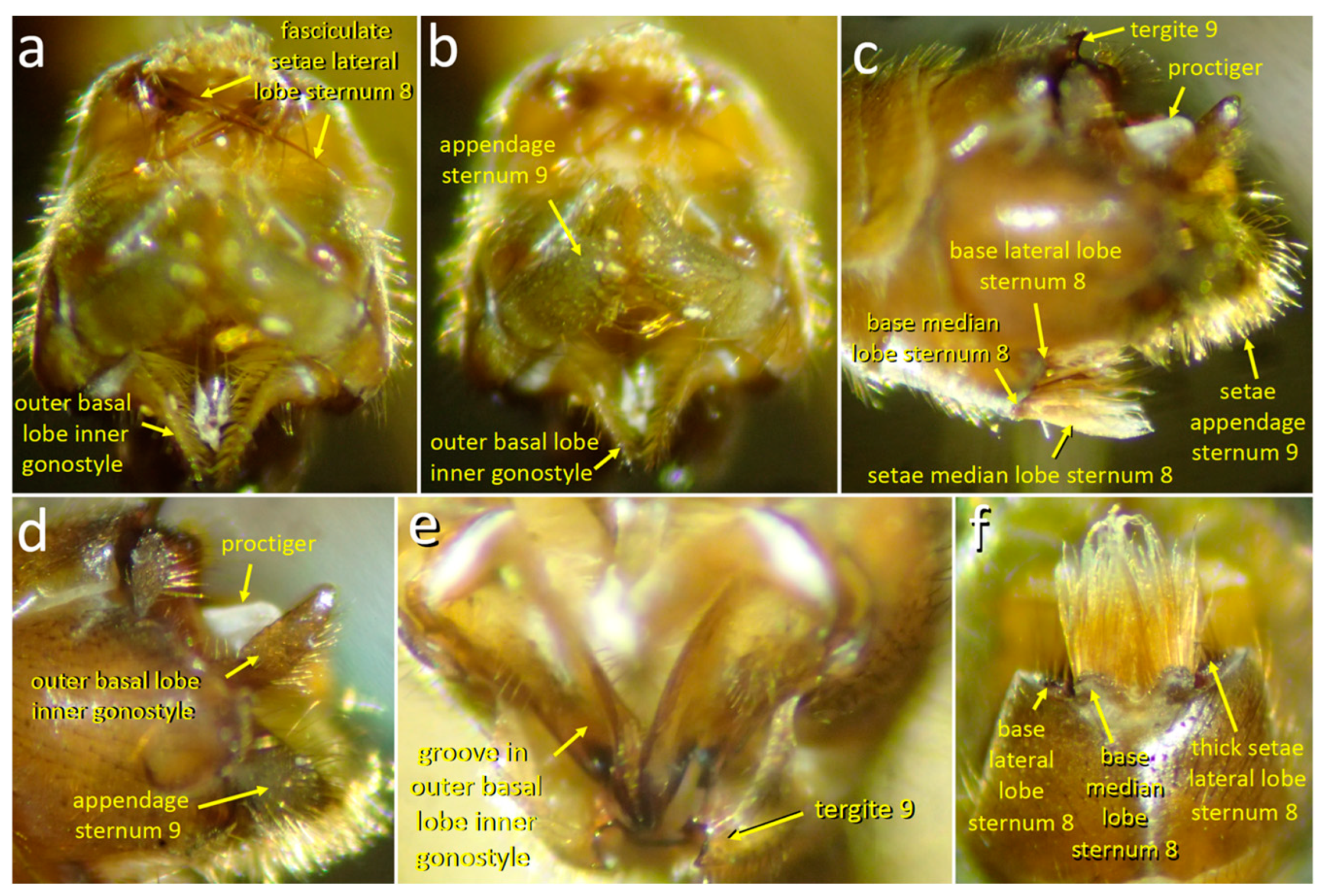 Insects 15 00680 g011