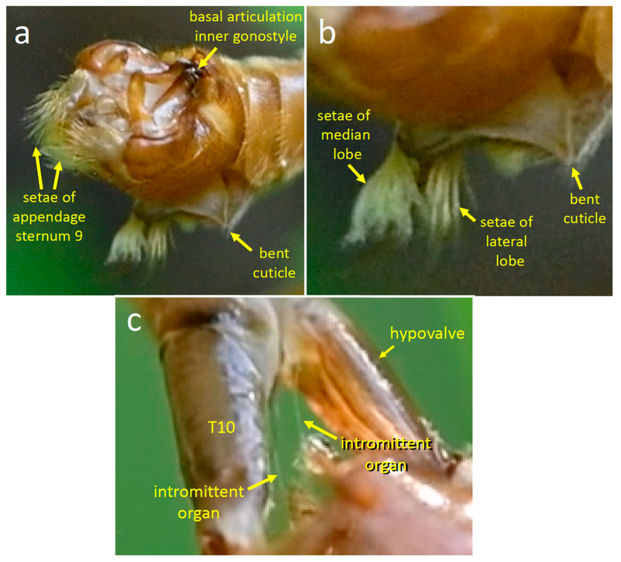 Insects 15 00680 g012