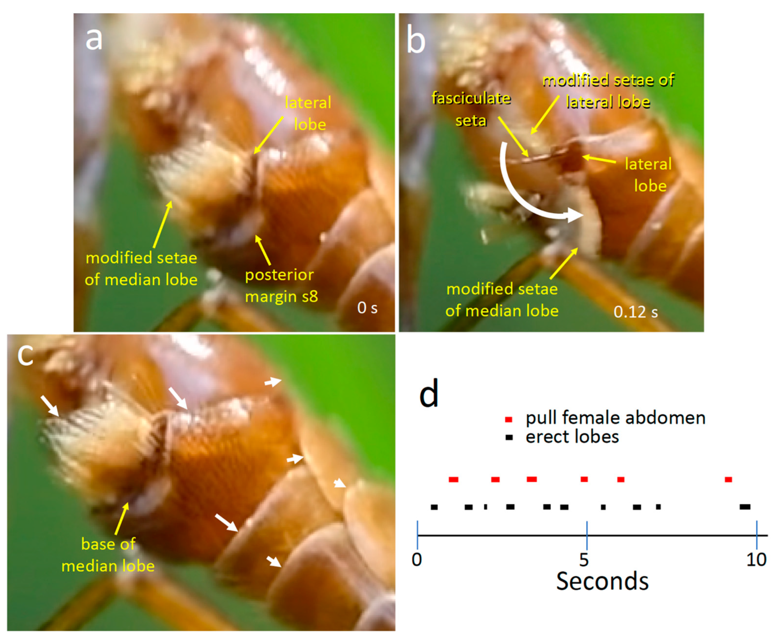 Insects 15 00680 g014
