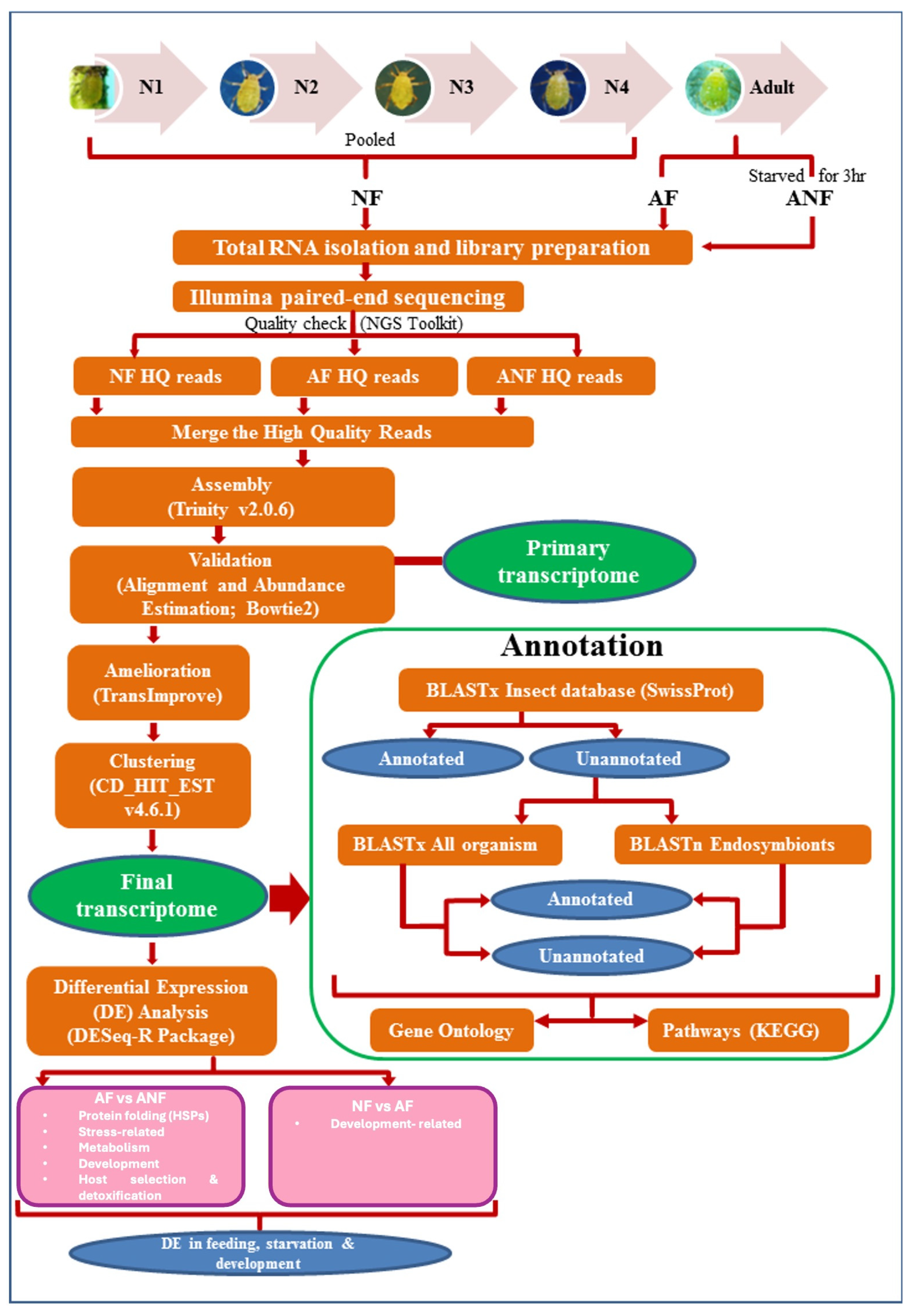 Insects 15 00682 g001