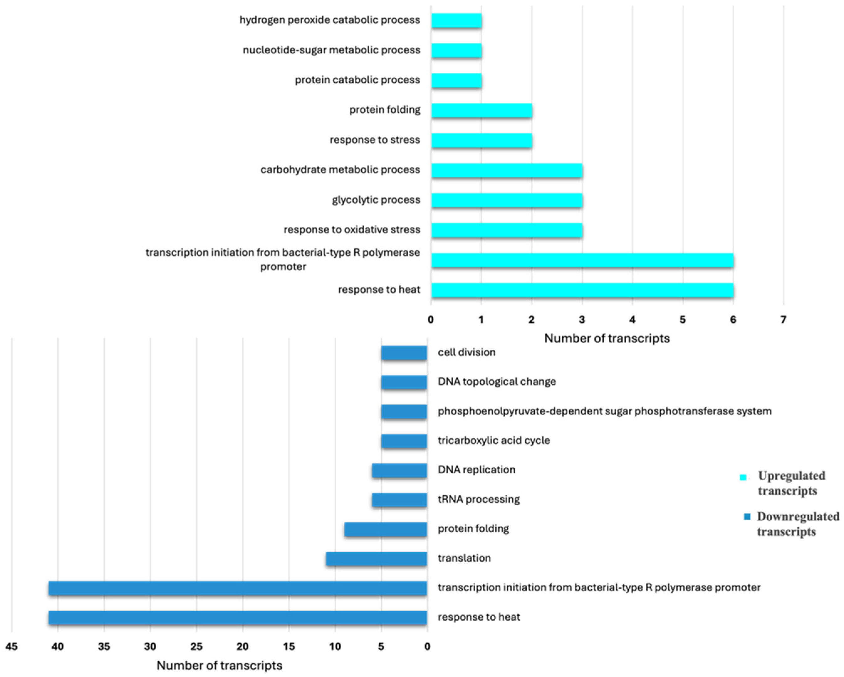 Insects 15 00682 g005