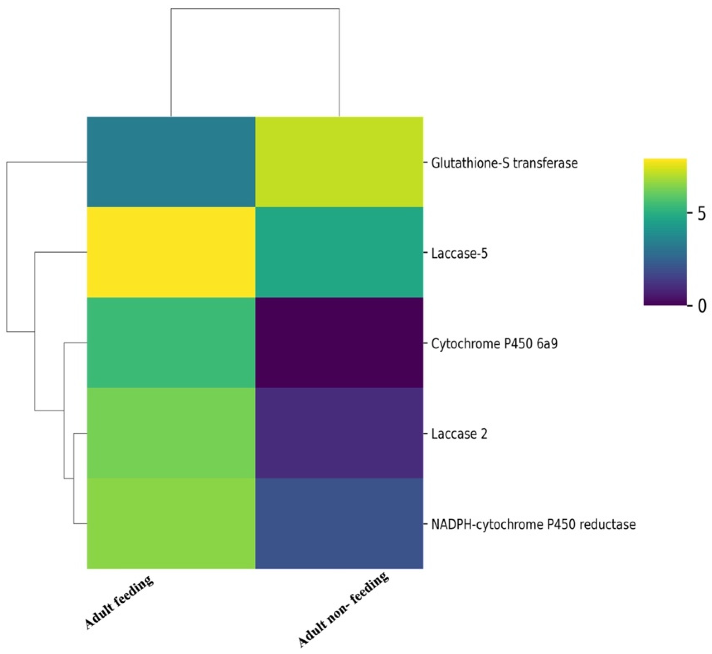Insects 15 00682 g006