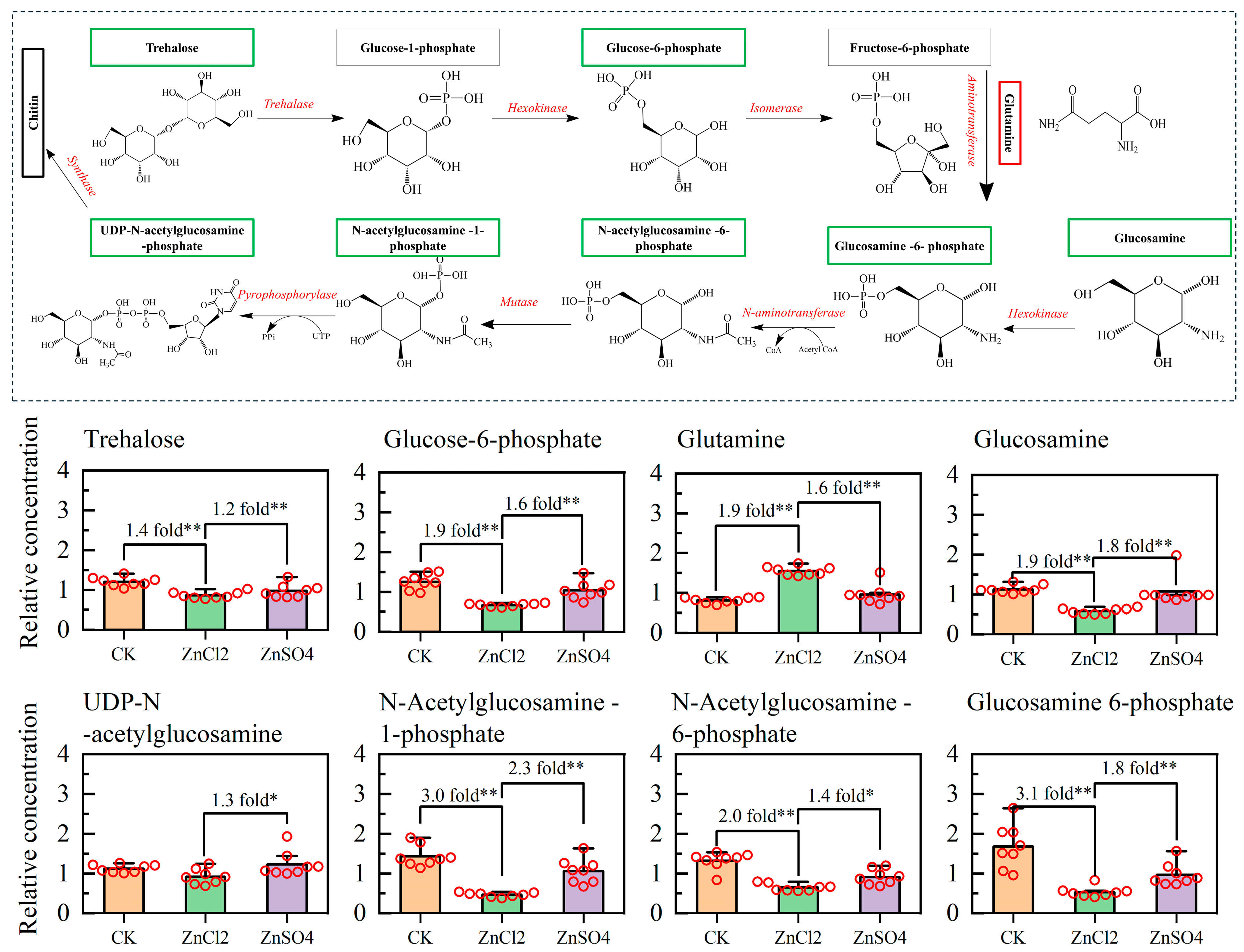 Insects 15 00687 g004