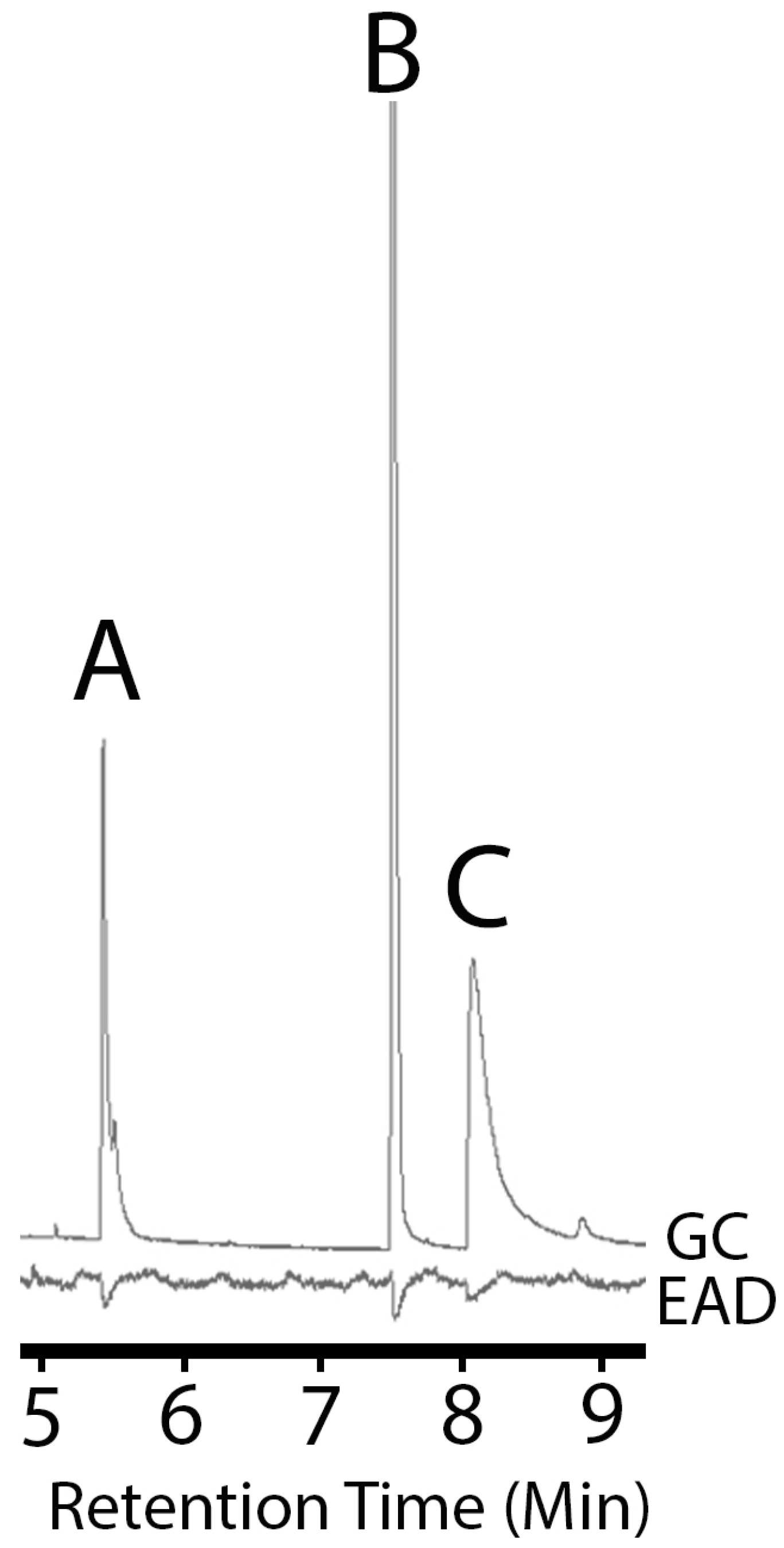 Insects 15 00692 g002