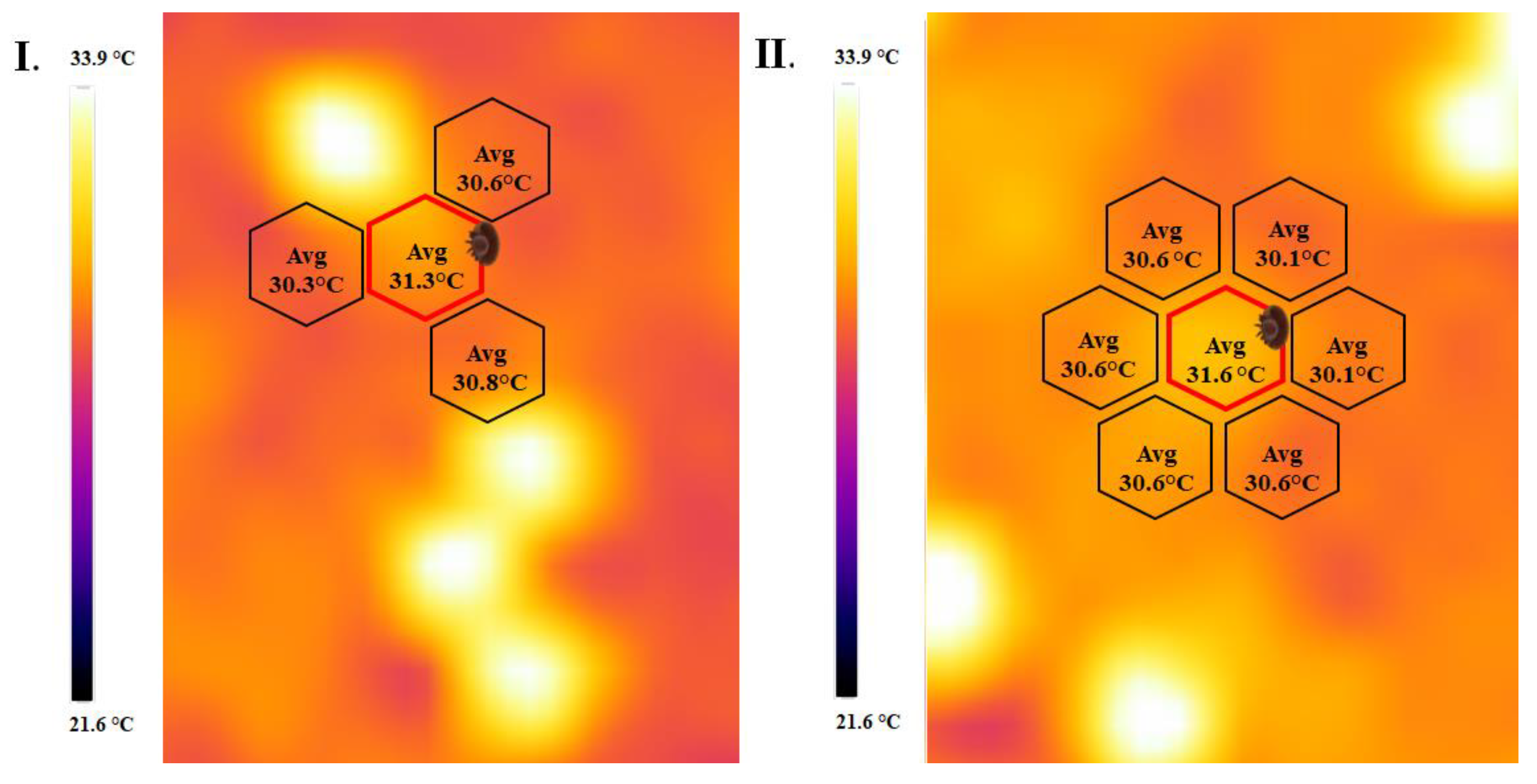 Insects 15 00693 g004