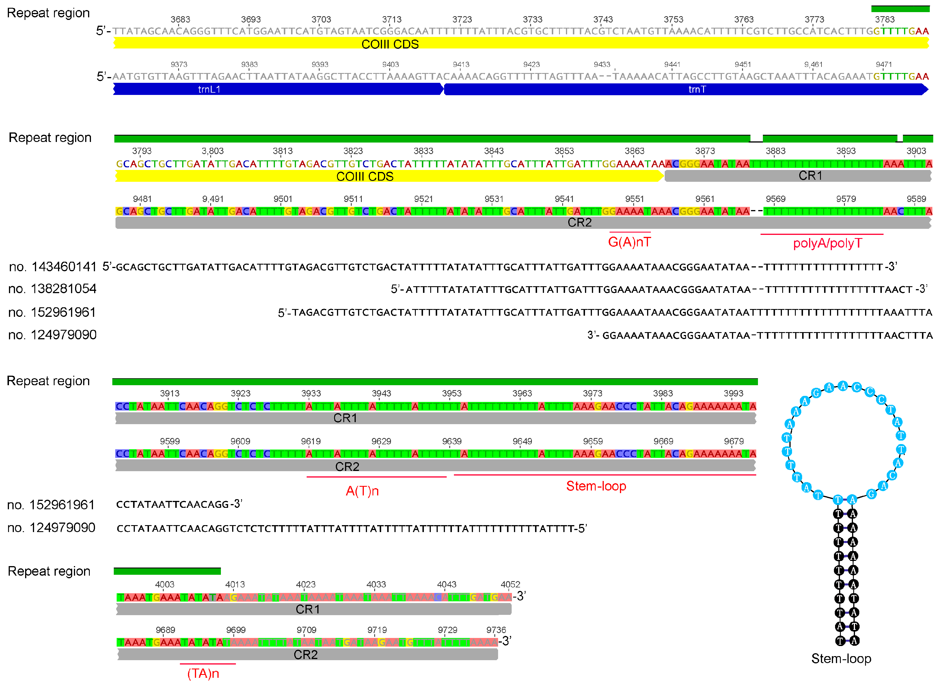 Insects 15 00700 g001 Insects 15 00700 g001