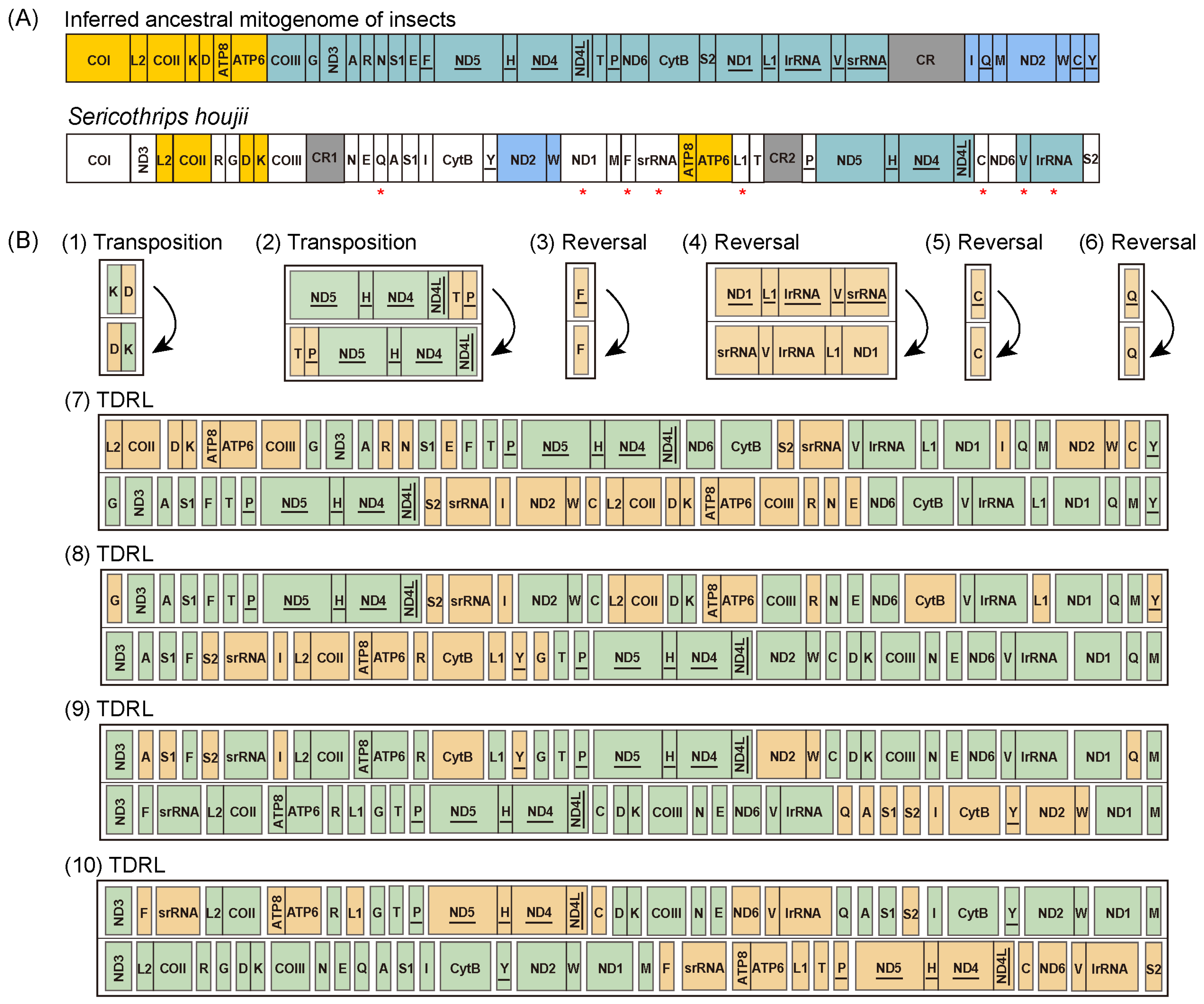 Insects 15 00700 g0a1 Insects 15 00700 g0a1