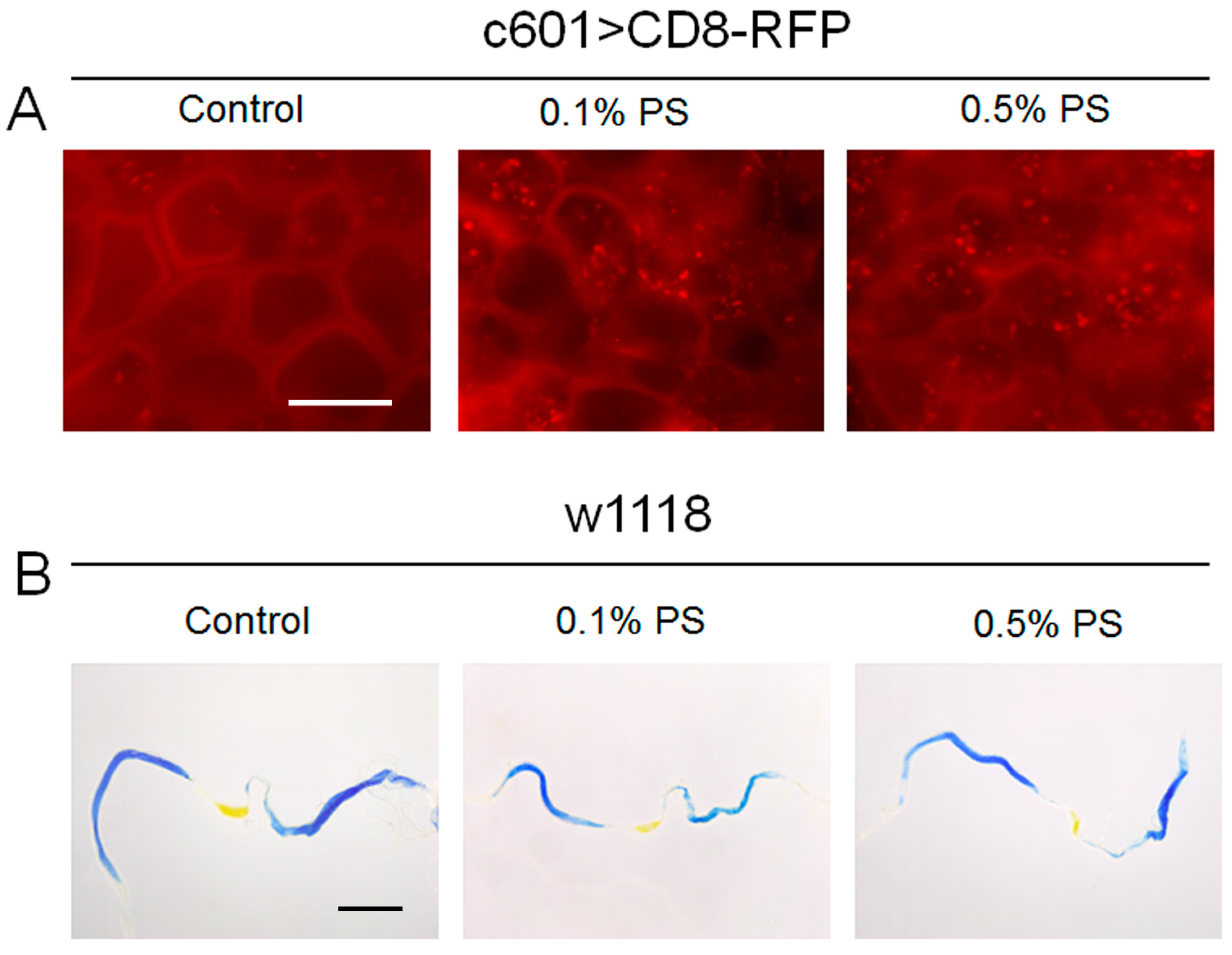 Insects 15 00703 g002 Insects 15 00703 g002