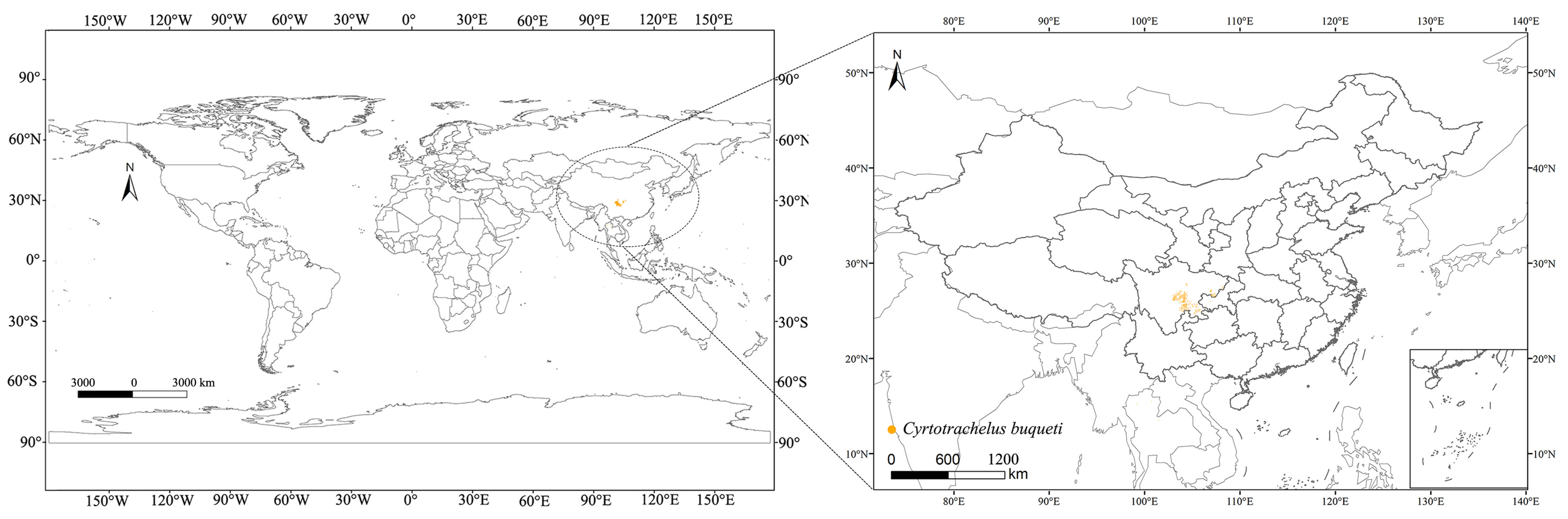 Insects 15 00708 g001
