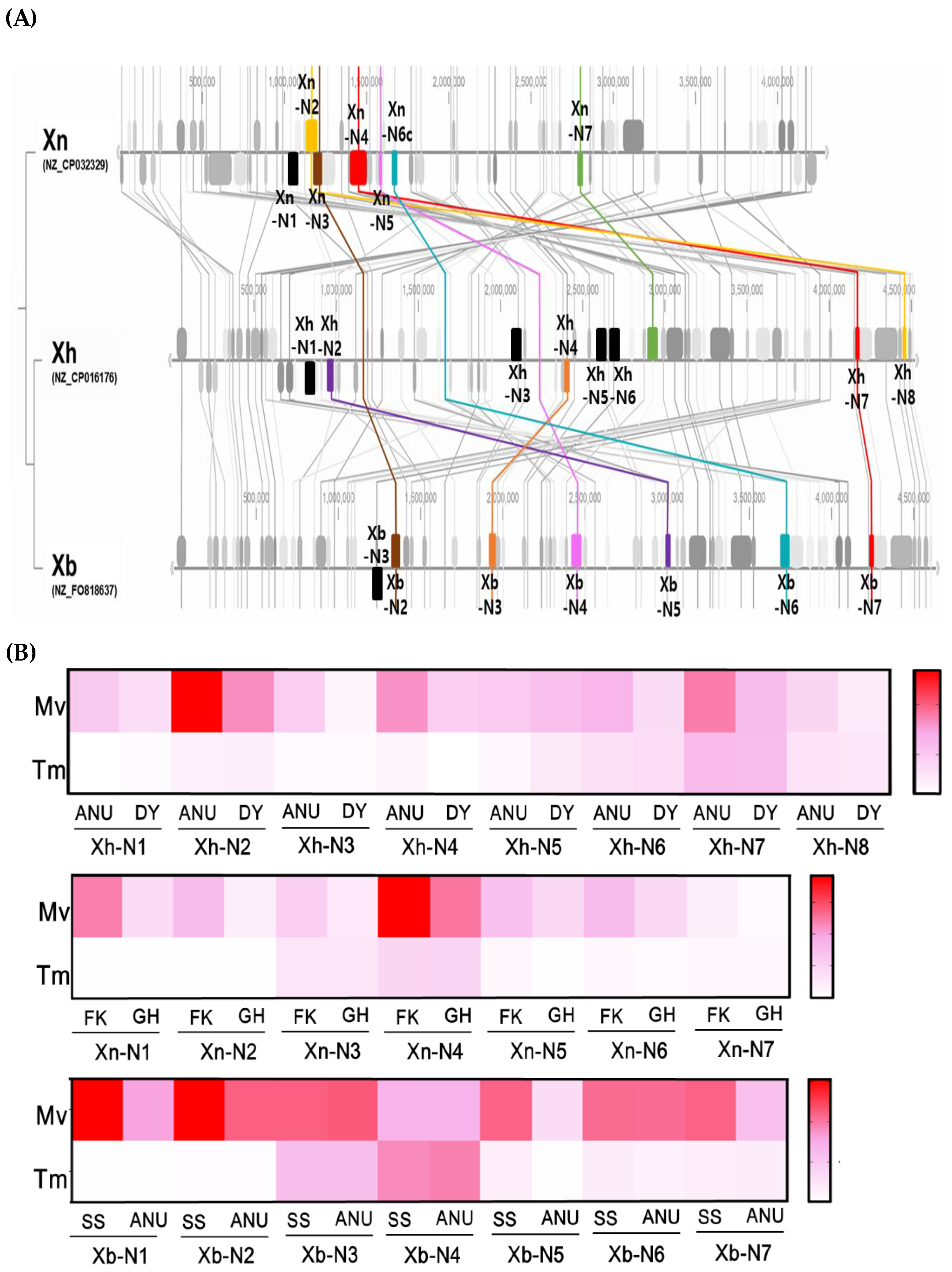 Insects 15 00710 g005