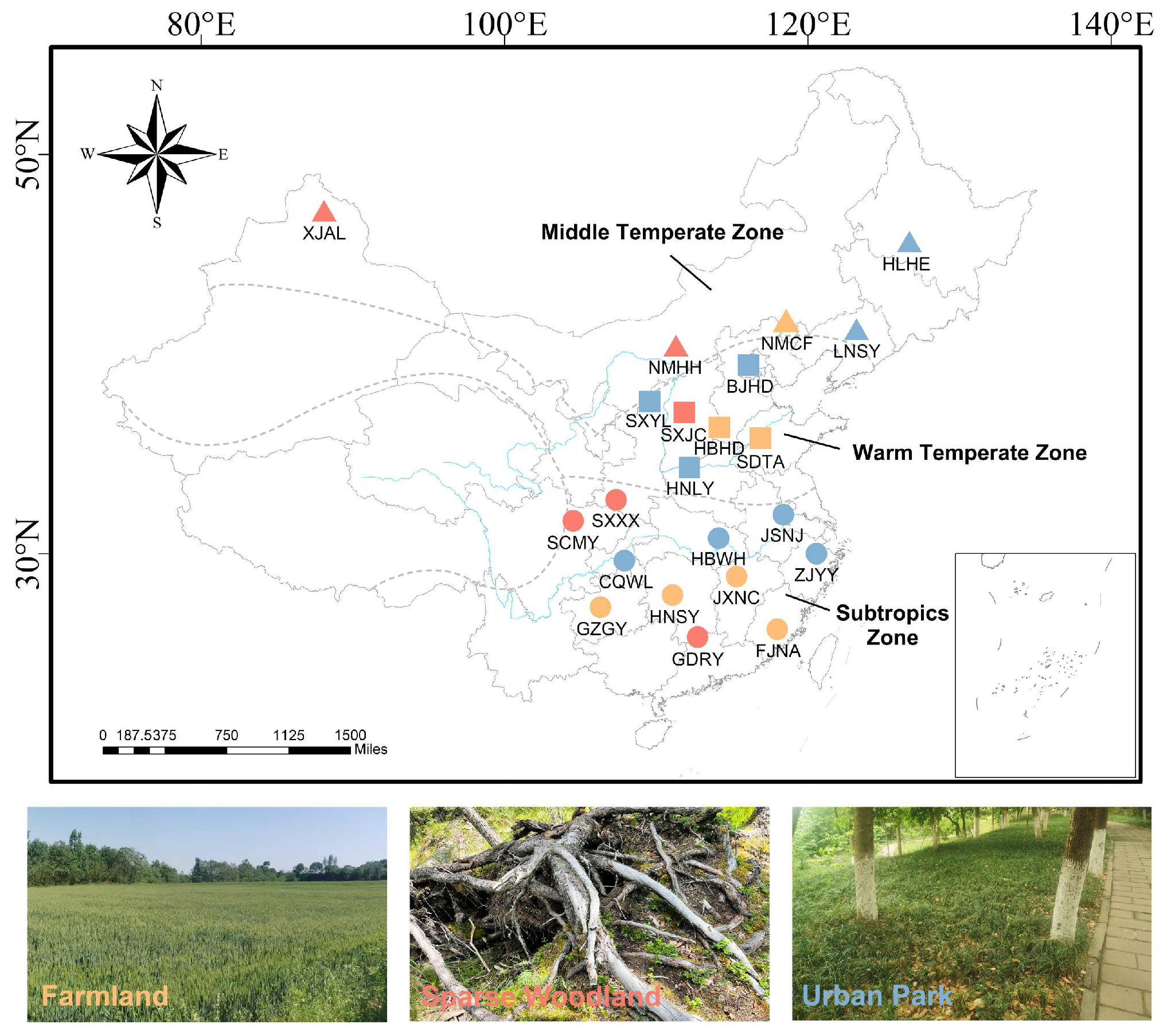 Insects 15 00719 g001