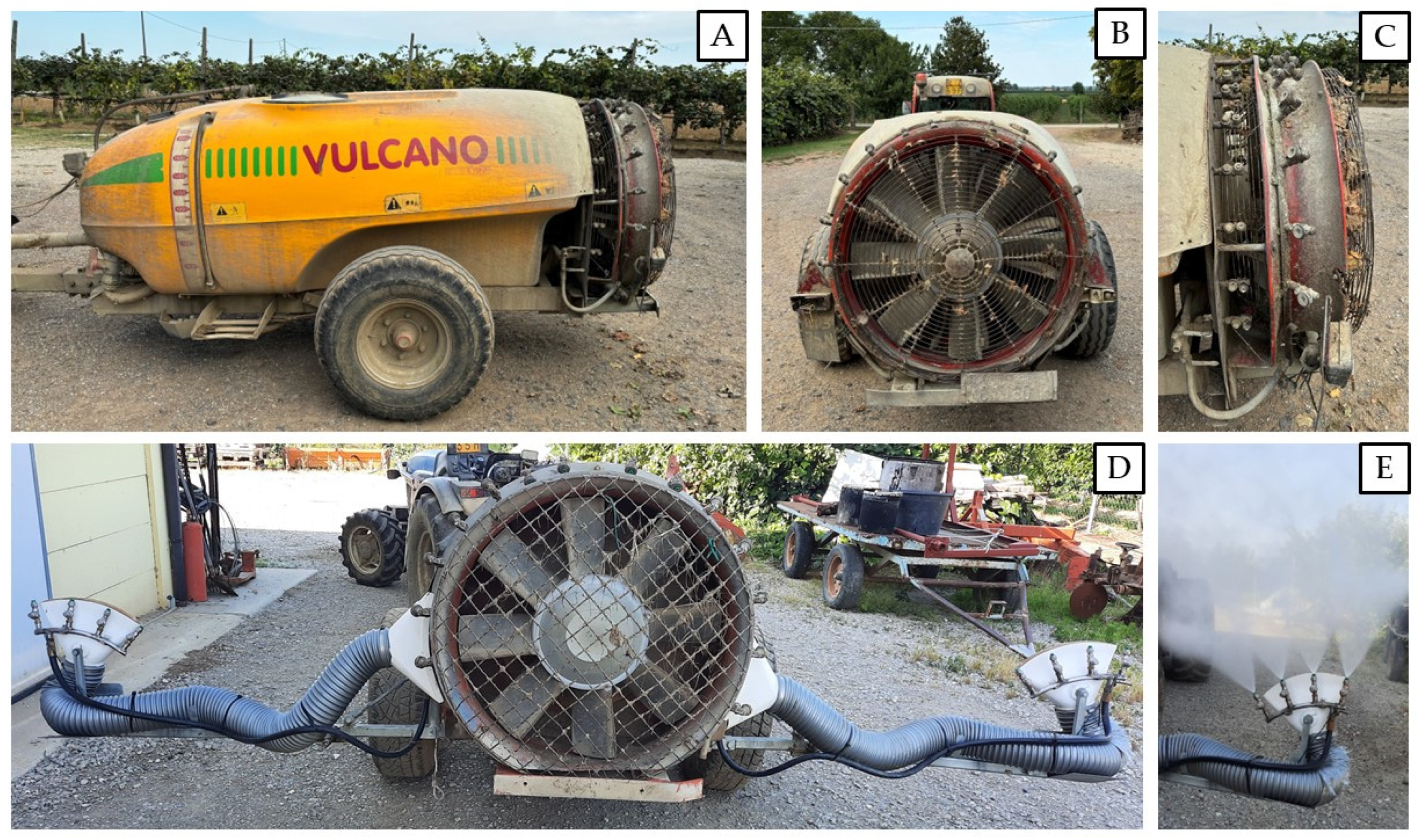 Insects 15 00723 g001