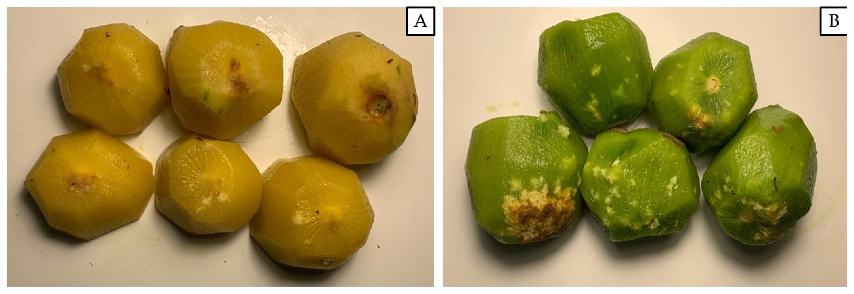 Insects 15 00723 g003