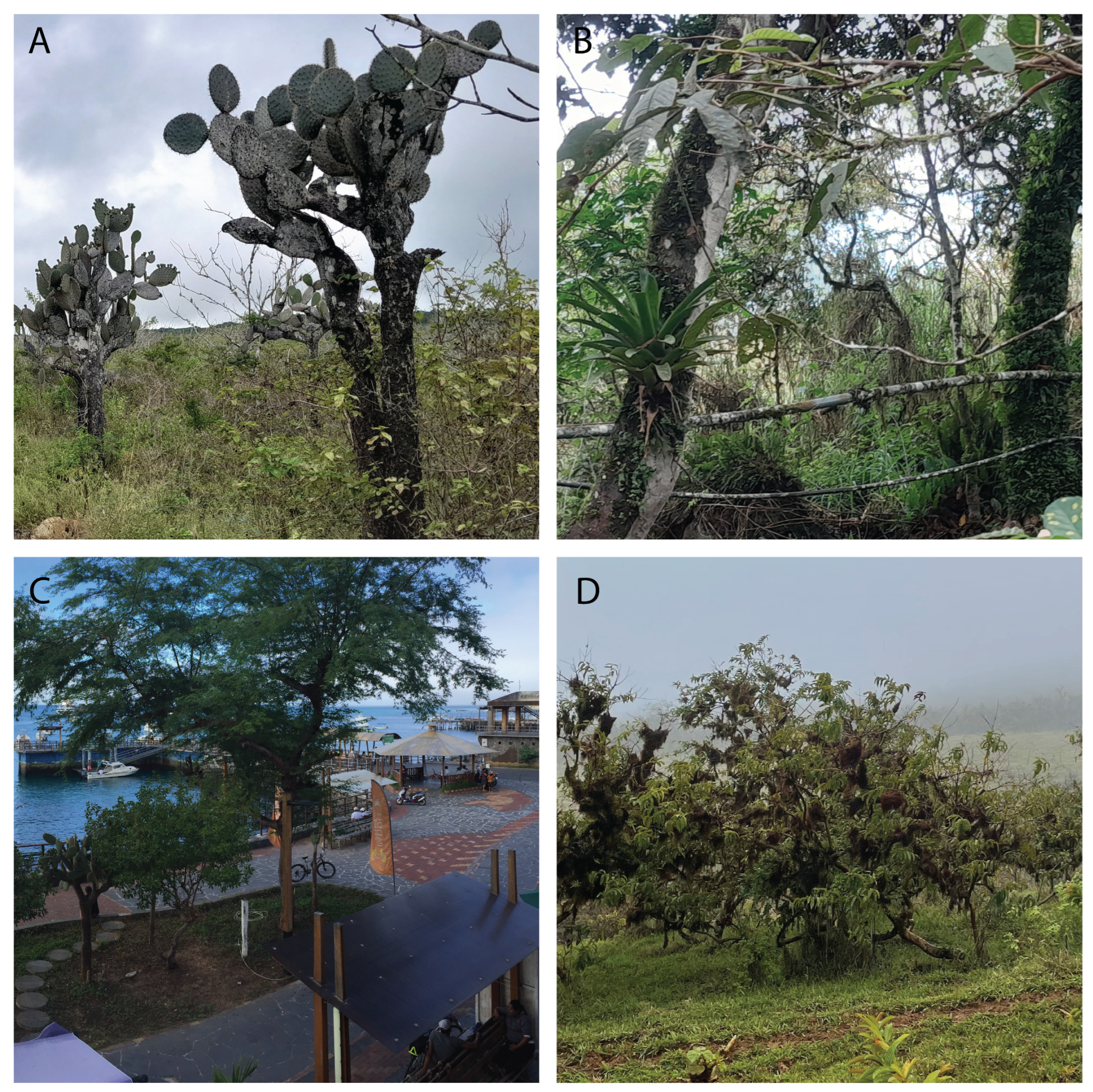 Insects 15 00725 g001