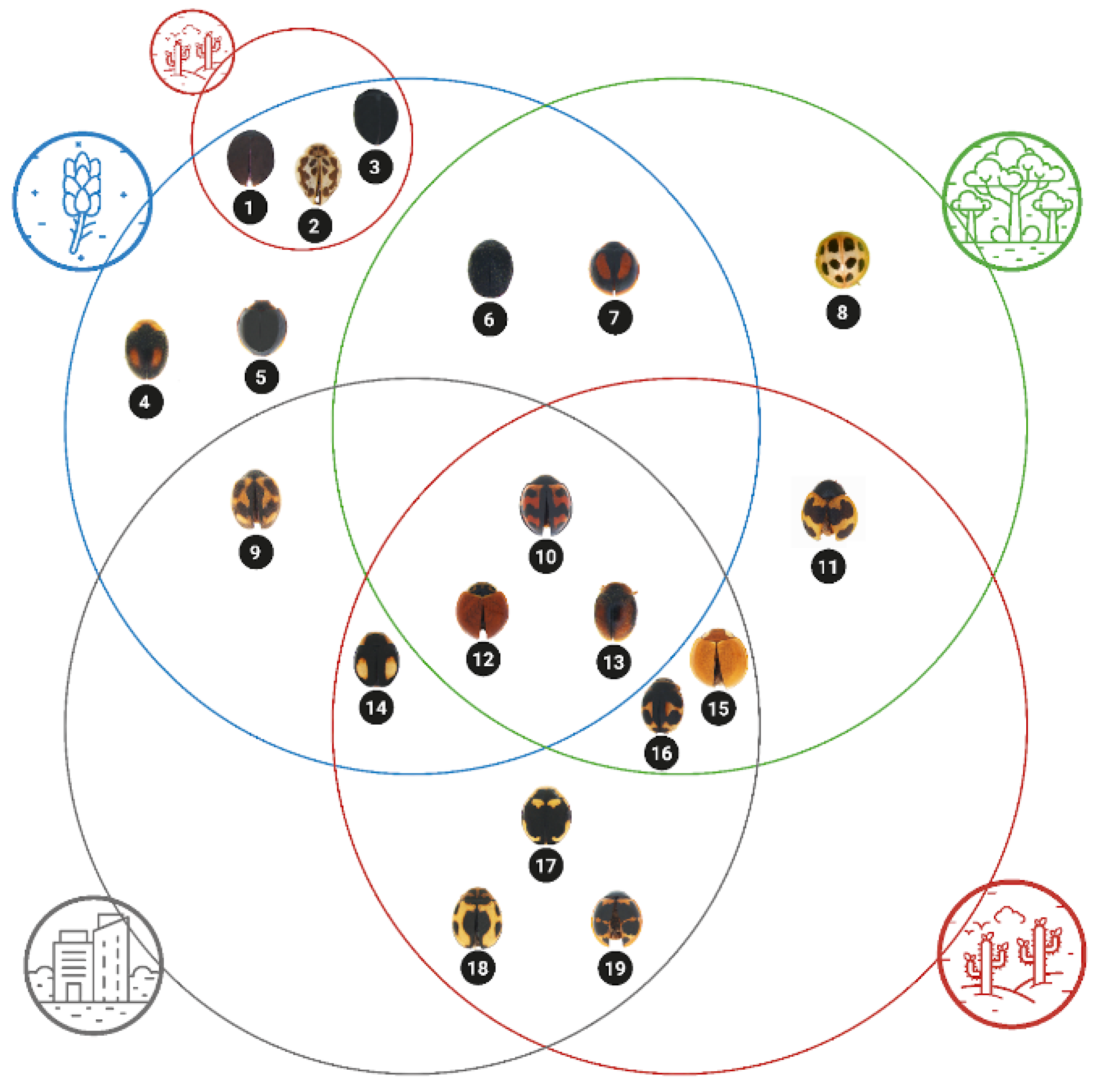 Insects 15 00725 g004