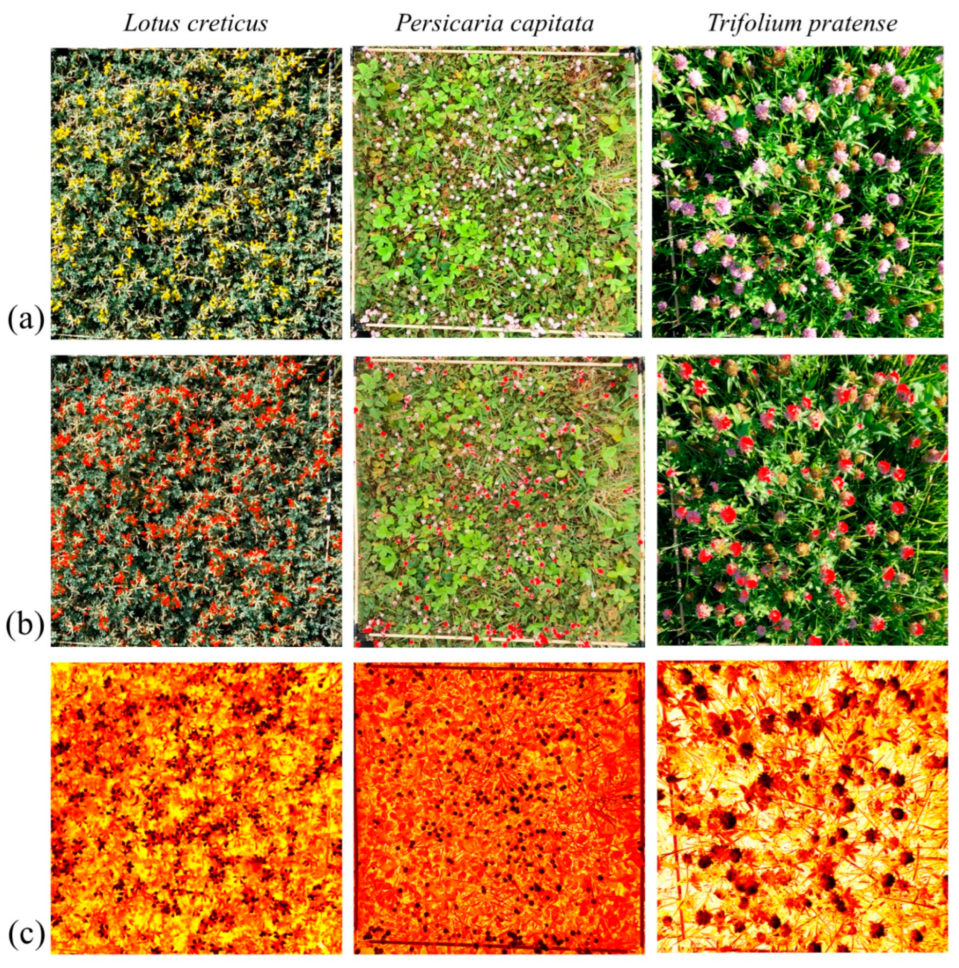 Insects 15 00729 g002