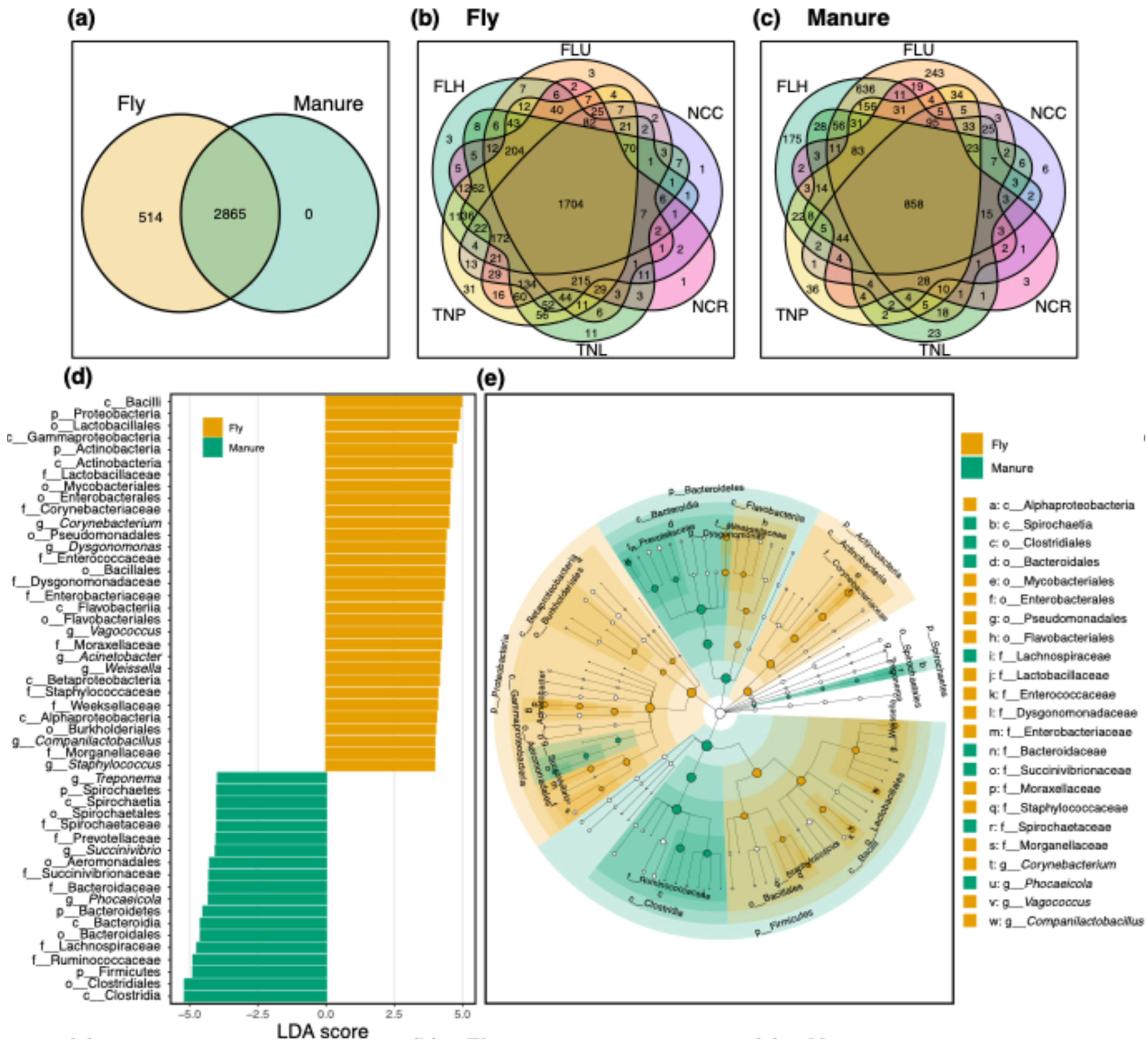 Insects 15 00730 g001 Insects 15 00730 g001
