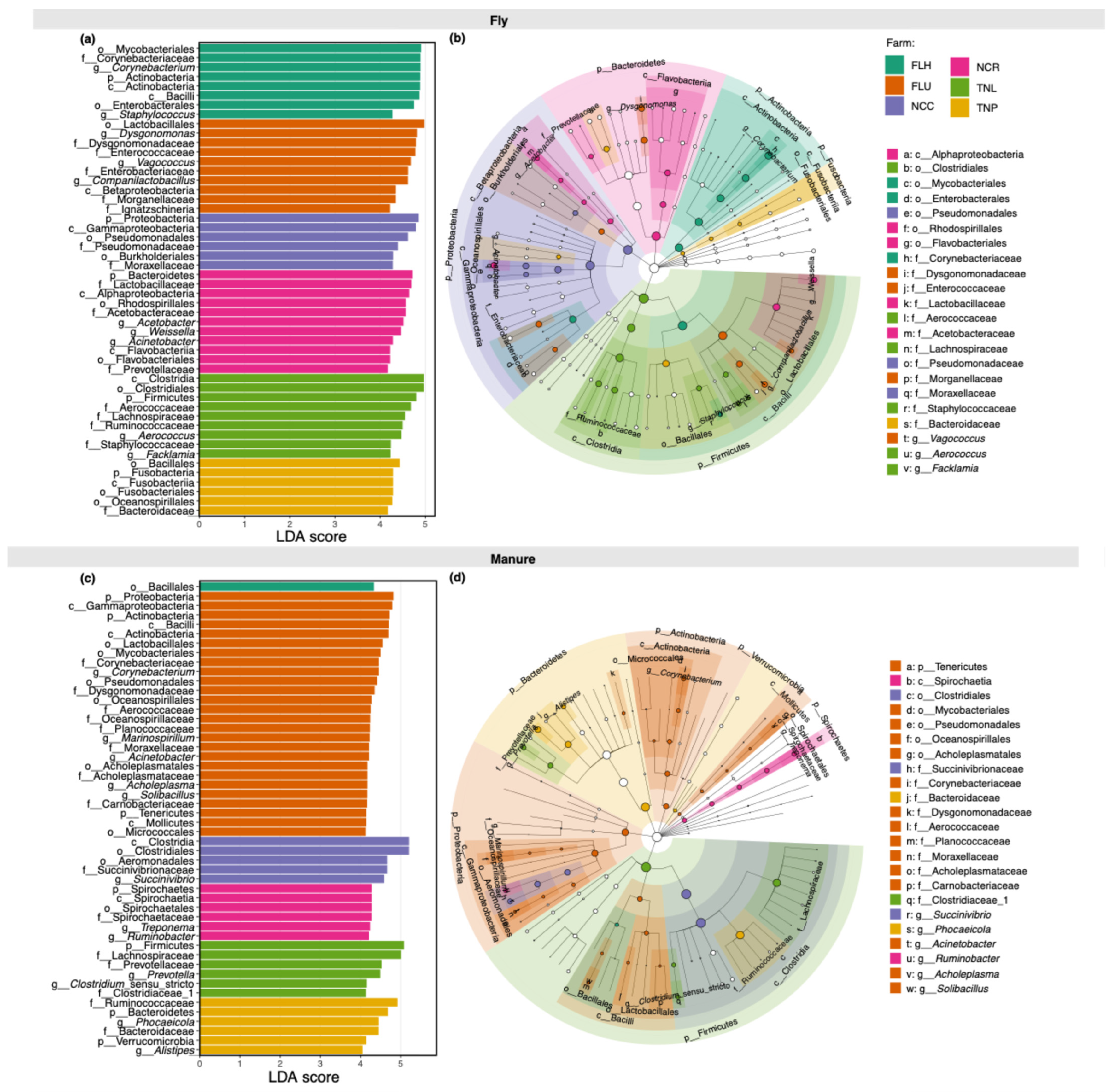 Insects 15 00730 g002 Insects 15 00730 g002