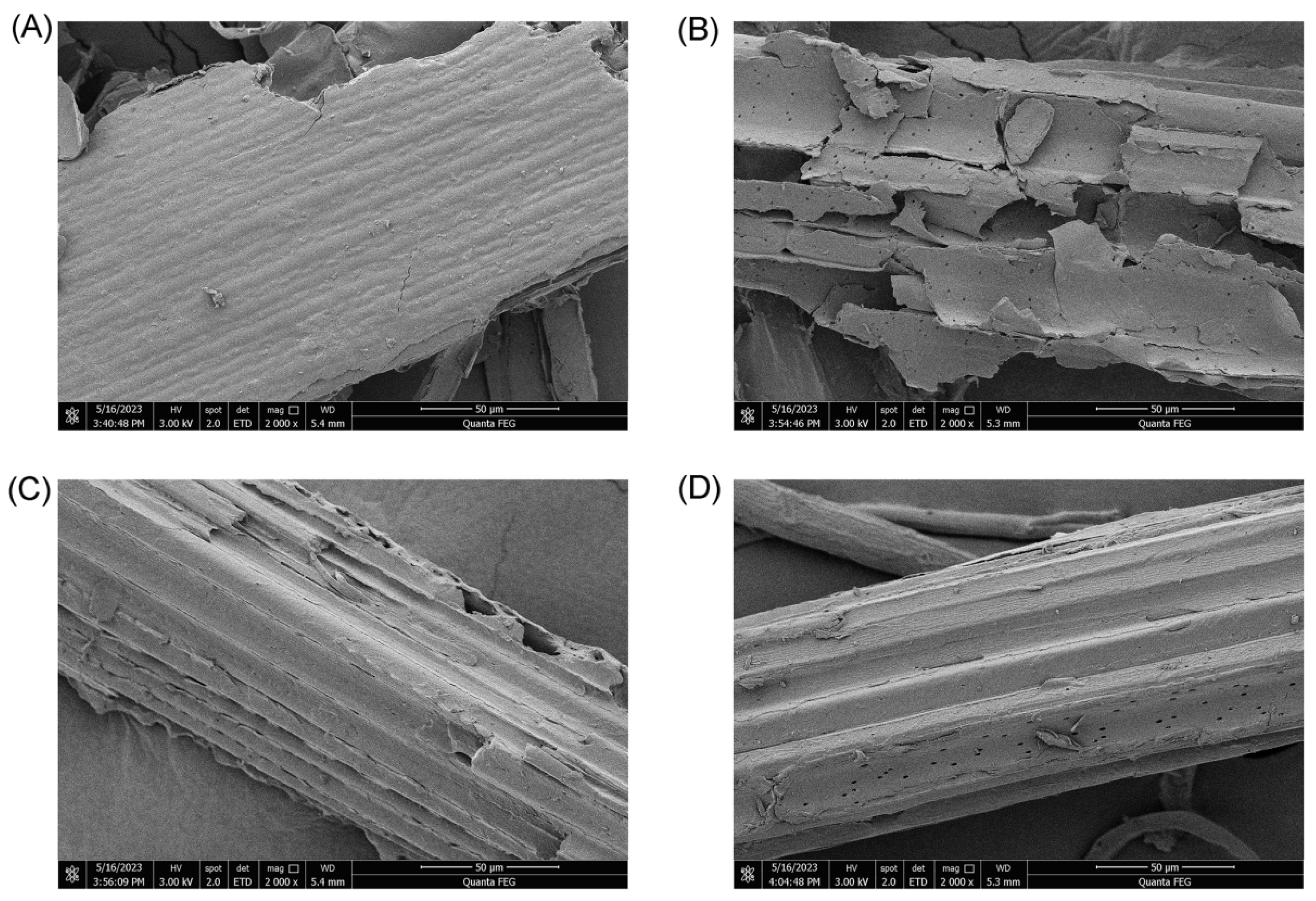 Insects 15 00734 g003