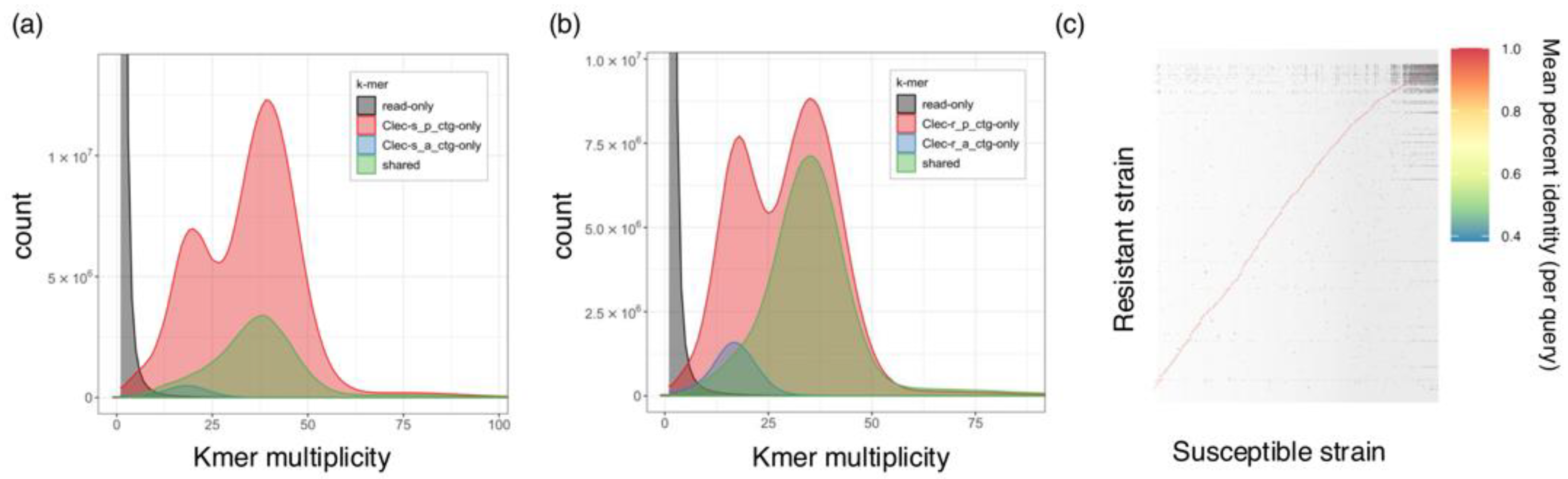 Insects 15 00737 g001