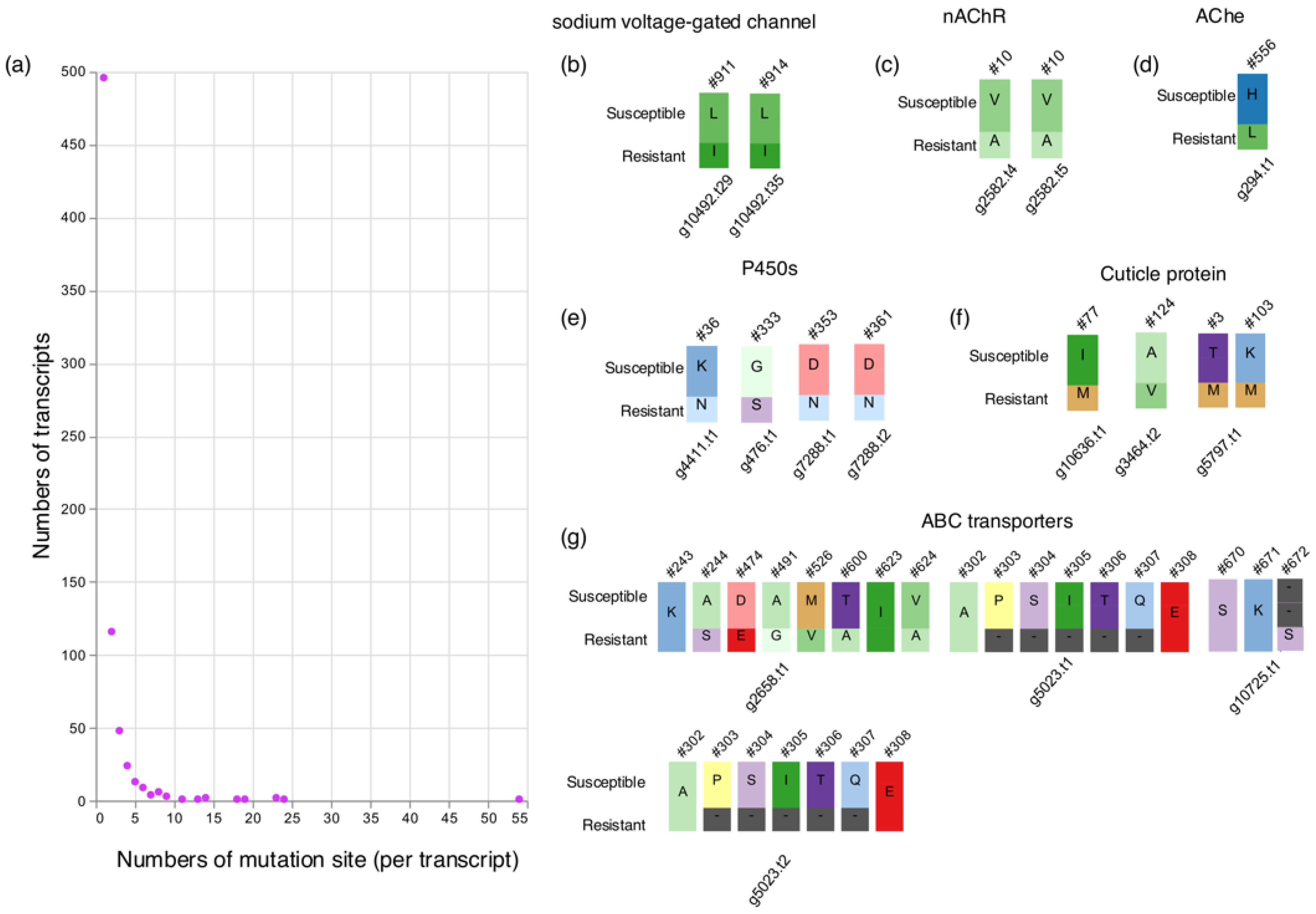 Insects 15 00737 g002