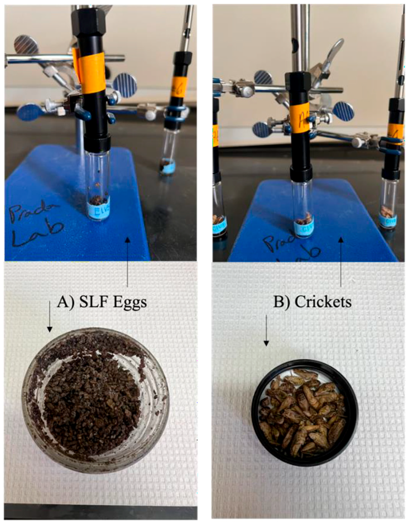 Insects 15 00739 g001