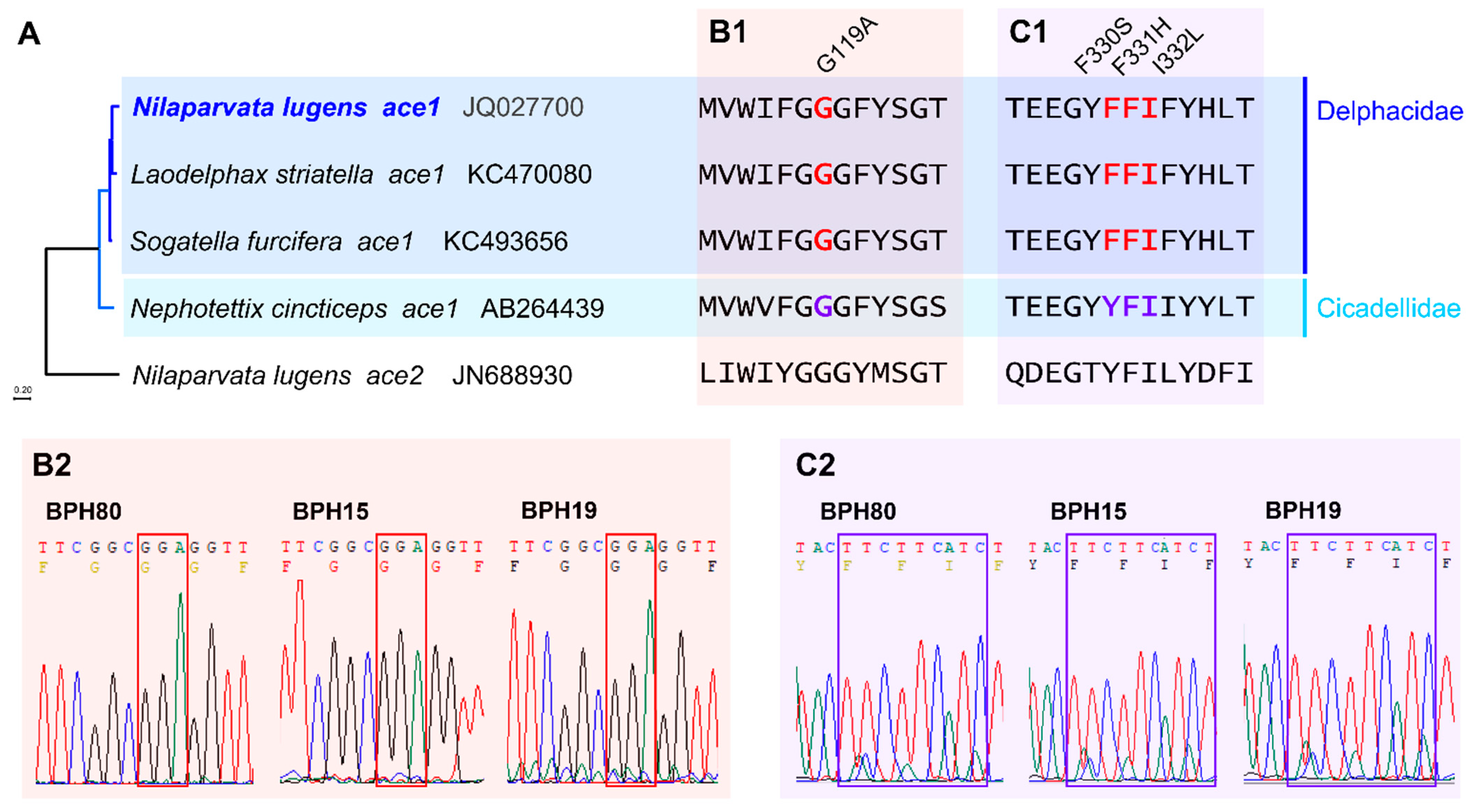 Insects 15 00743 g001