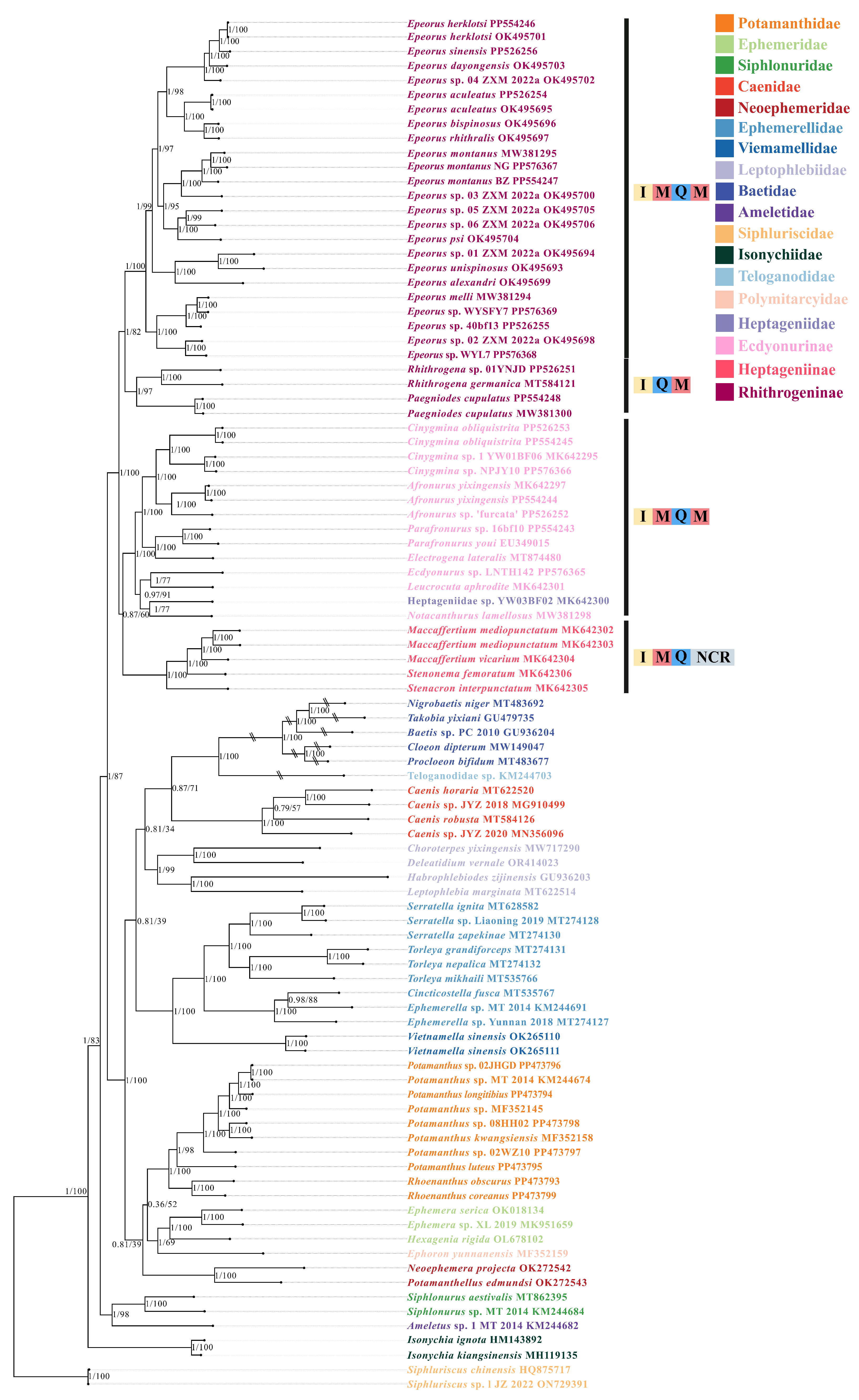 Insects 15 00745 g005