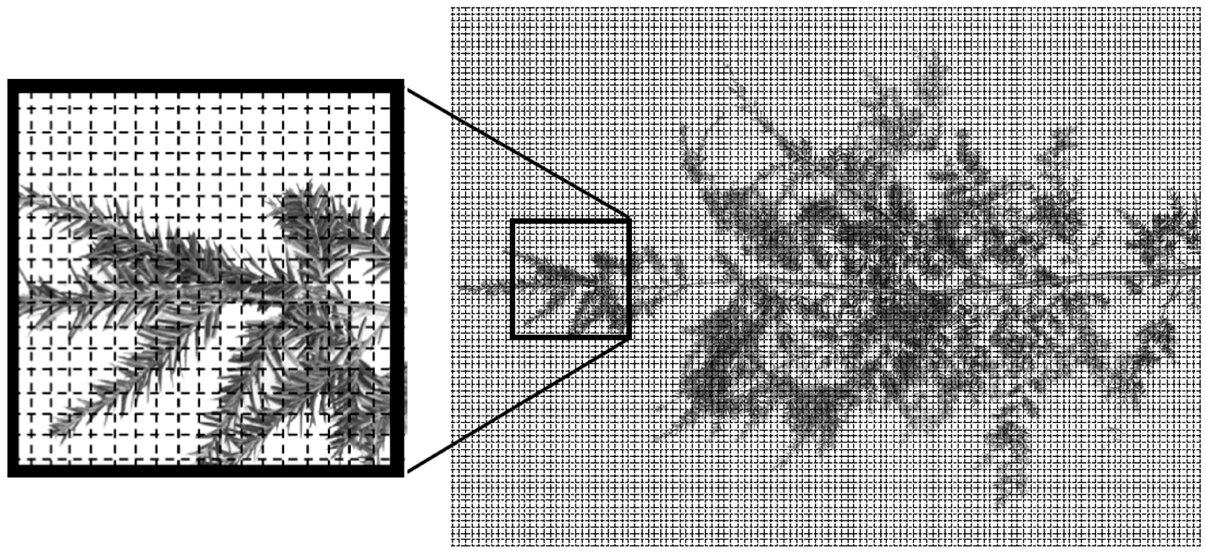 Insects 15 00751 g001