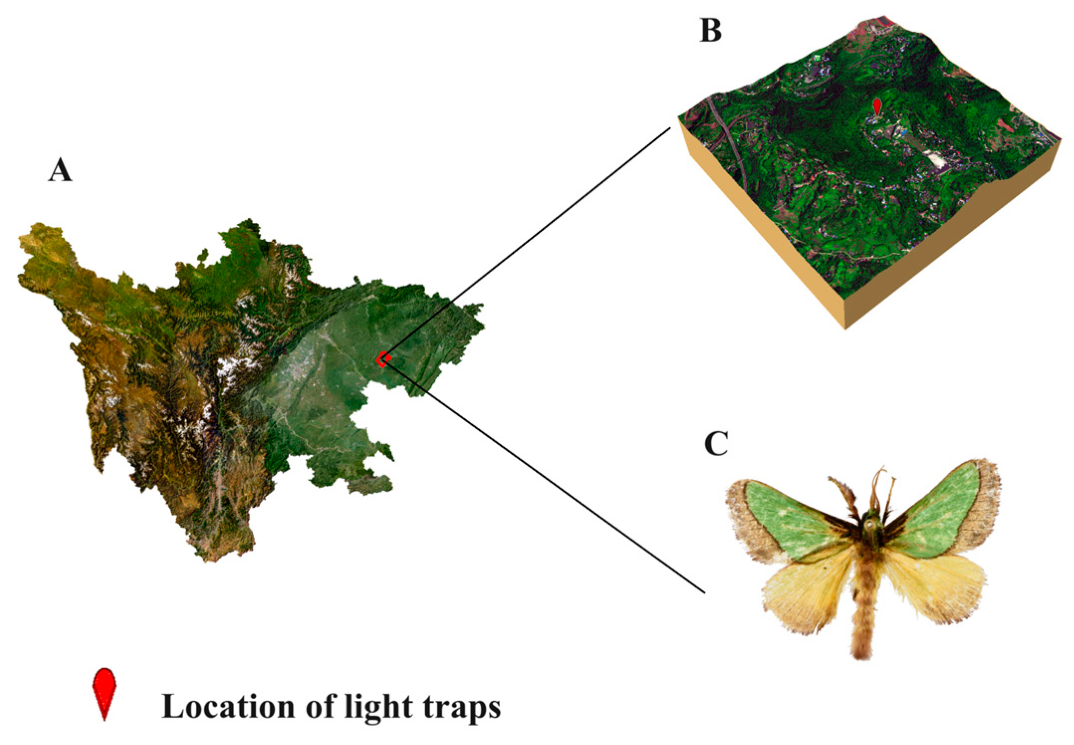 Insects 15 00756 g001