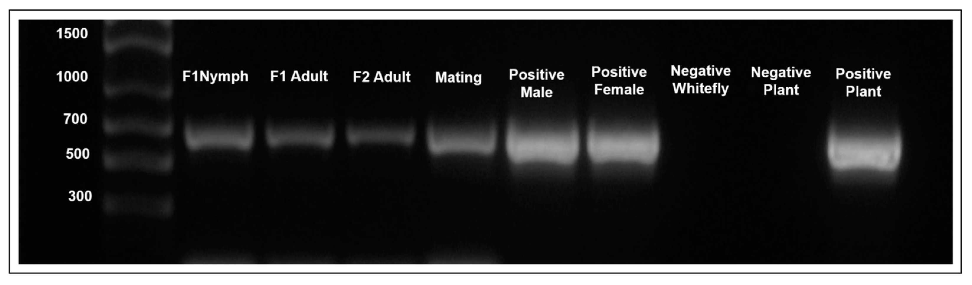 Insects 15 00760 g001
