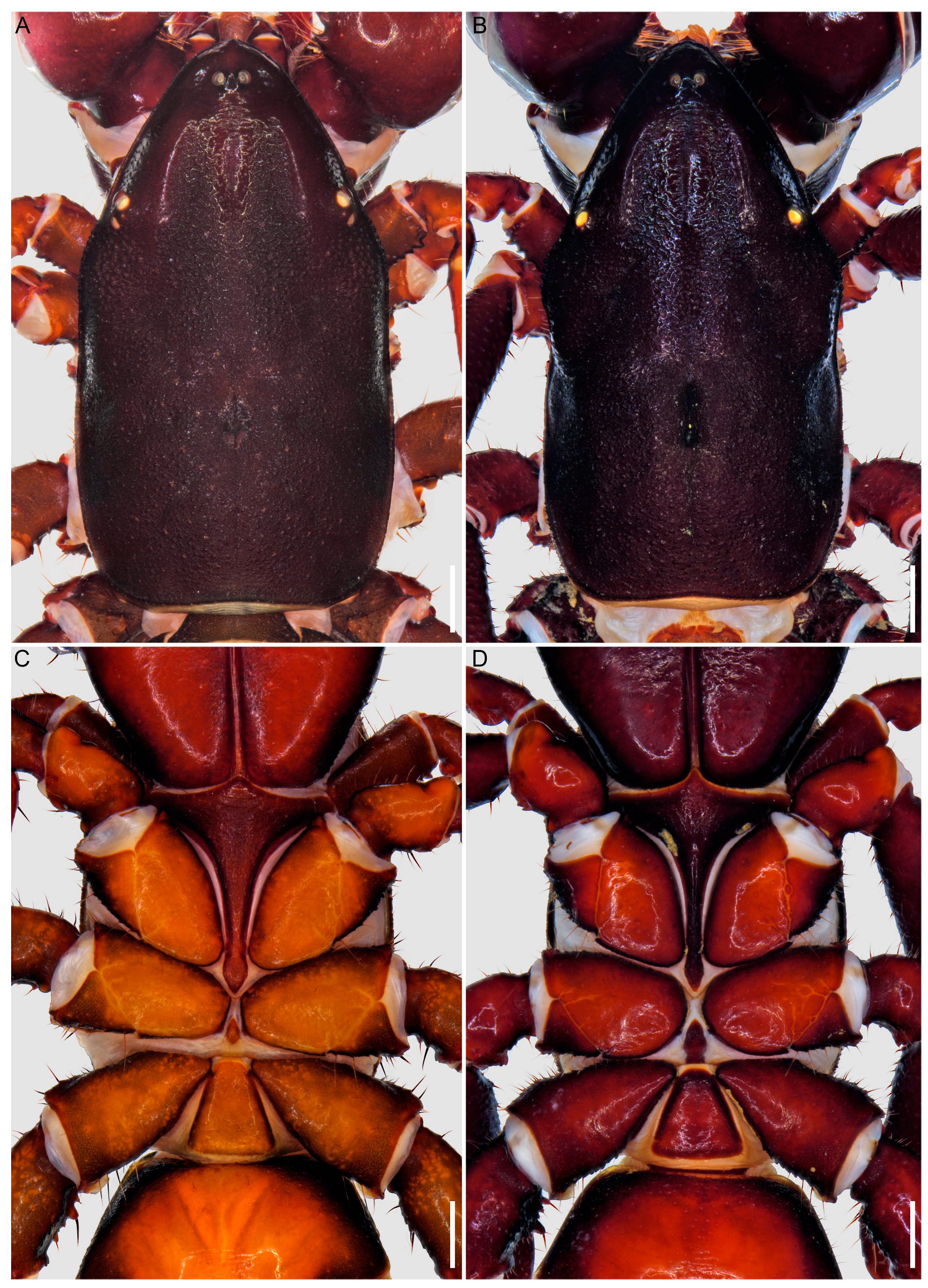 Insects 15 00761 g004