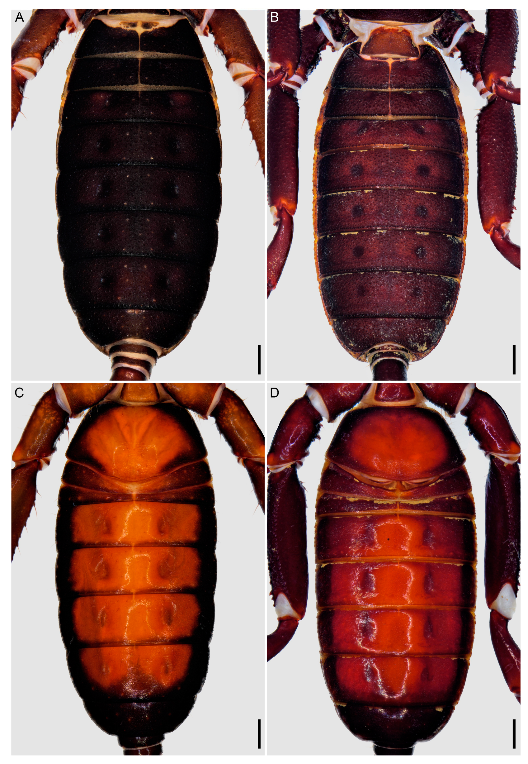 Insects 15 00761 g005