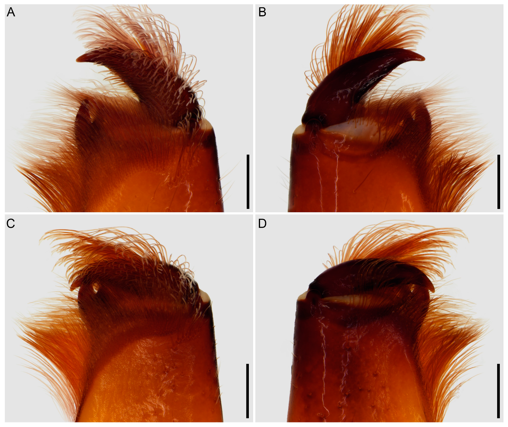 Insects 15 00761 g006