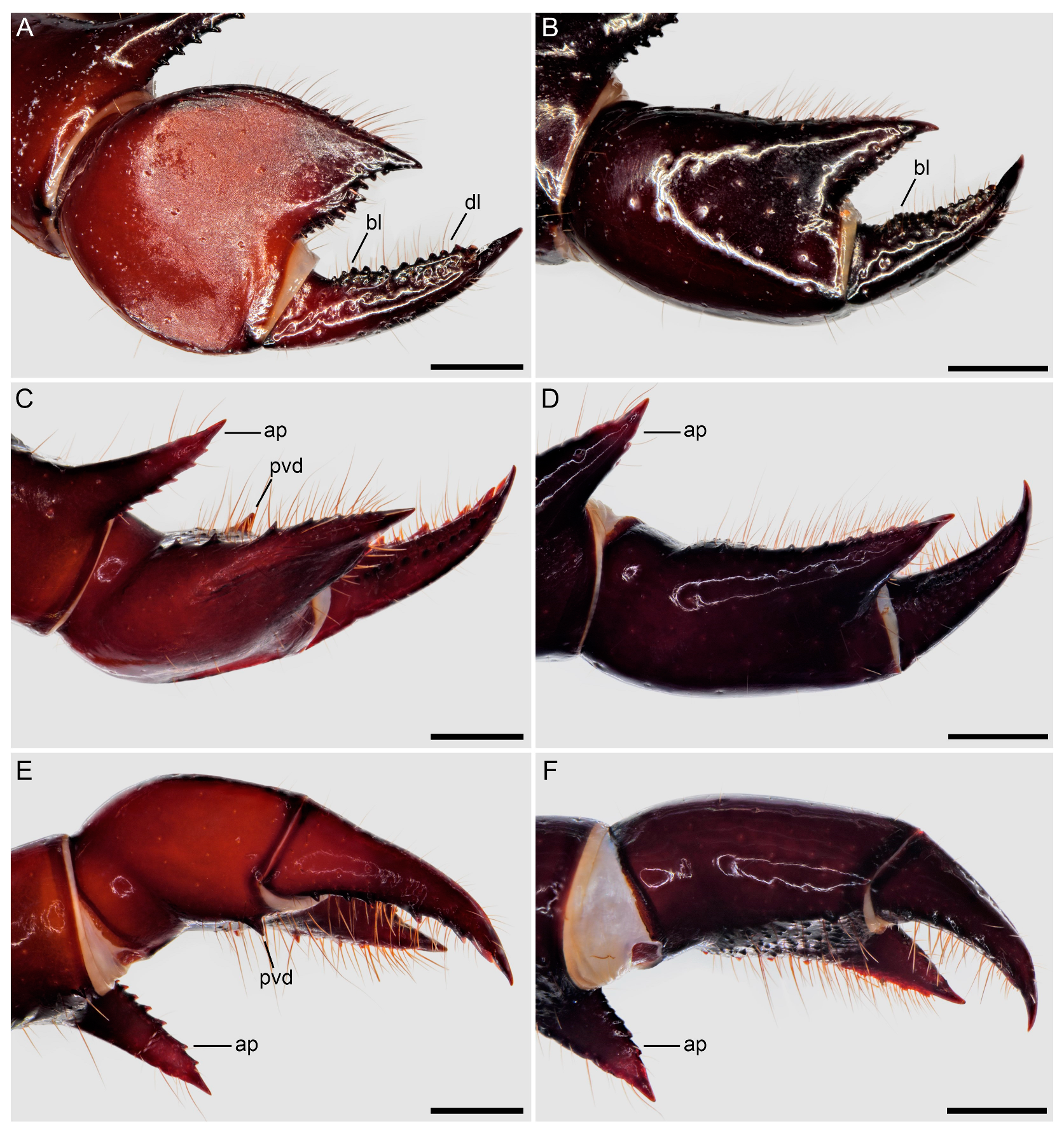 Insects 15 00761 g008