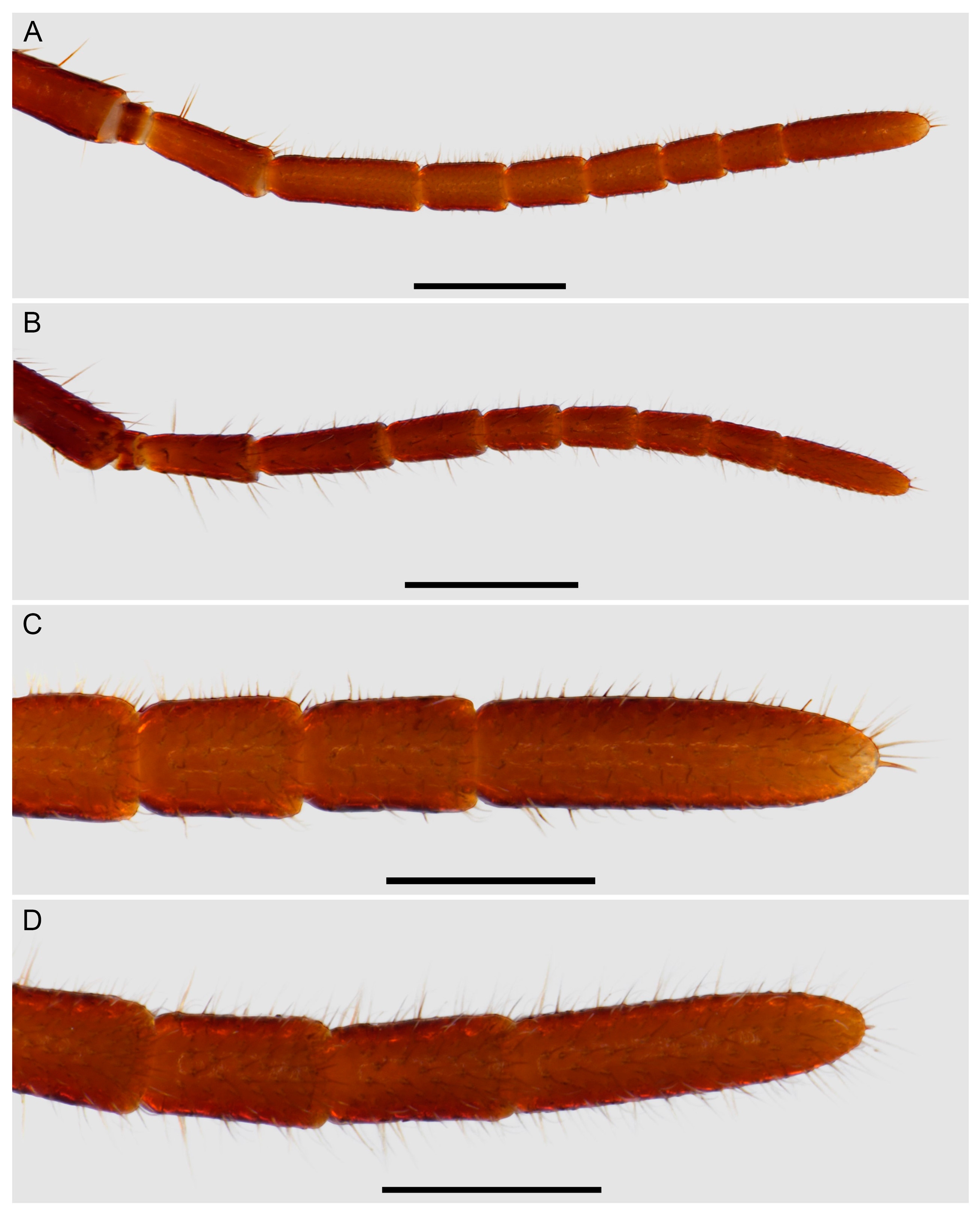 Insects 15 00761 g010